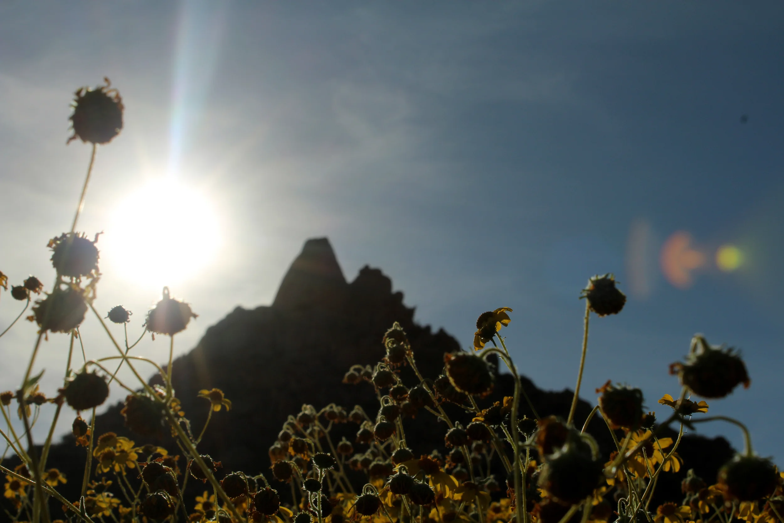 mountains website.jpg