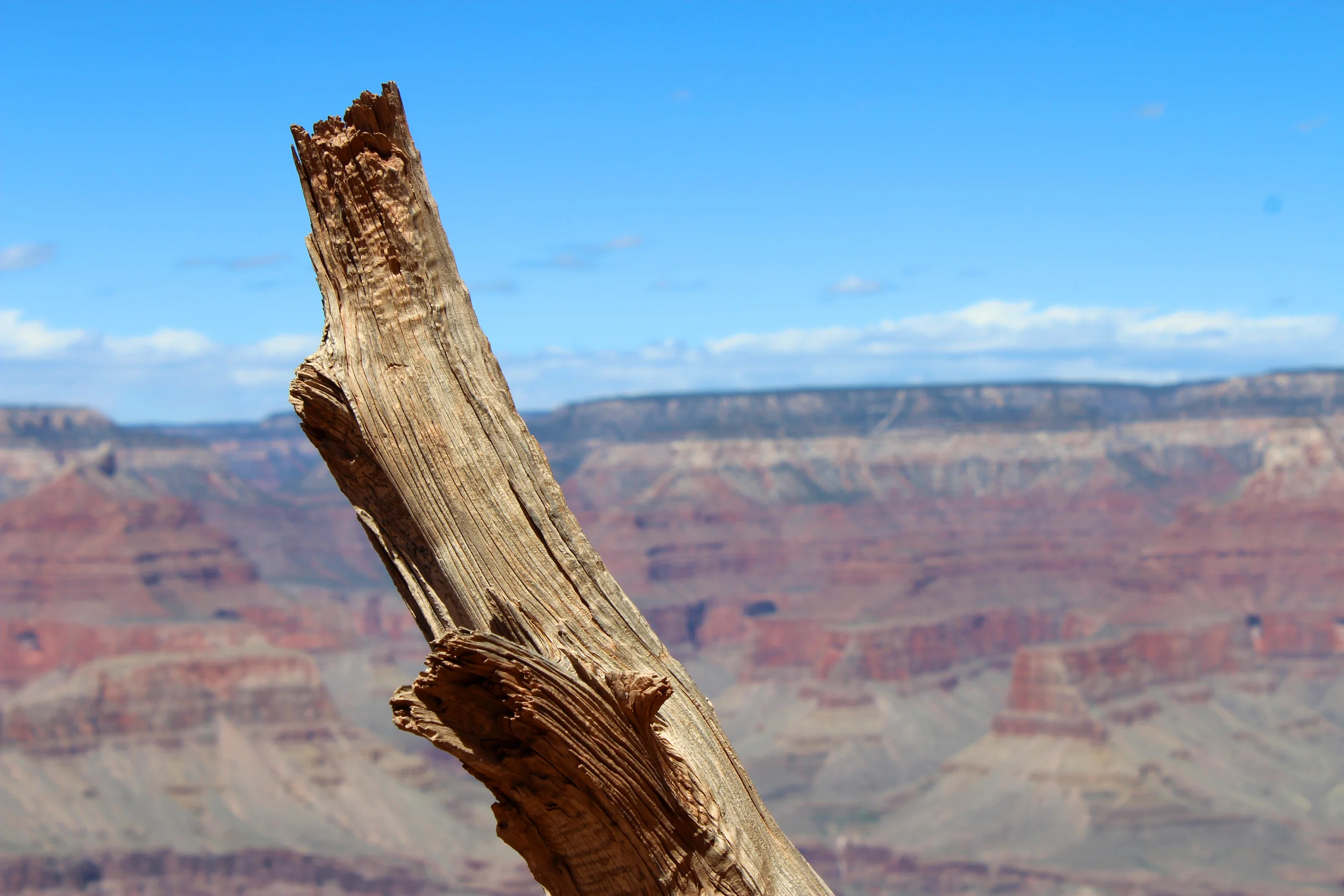 other wood website .jpg