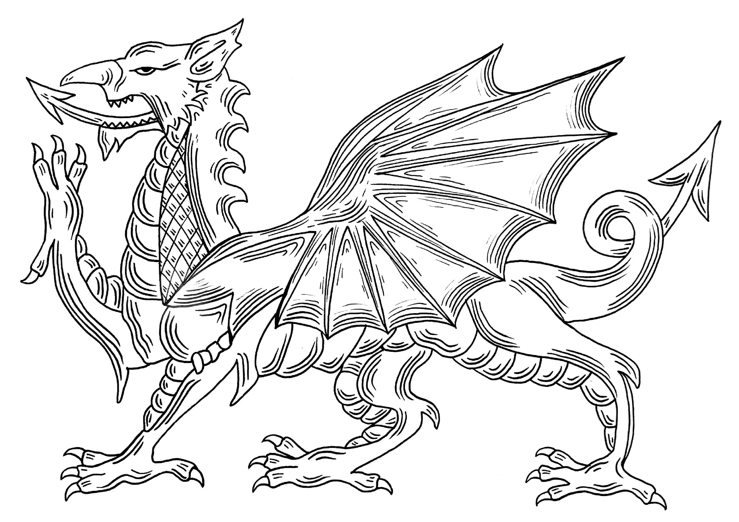 welsh dragon .jpg