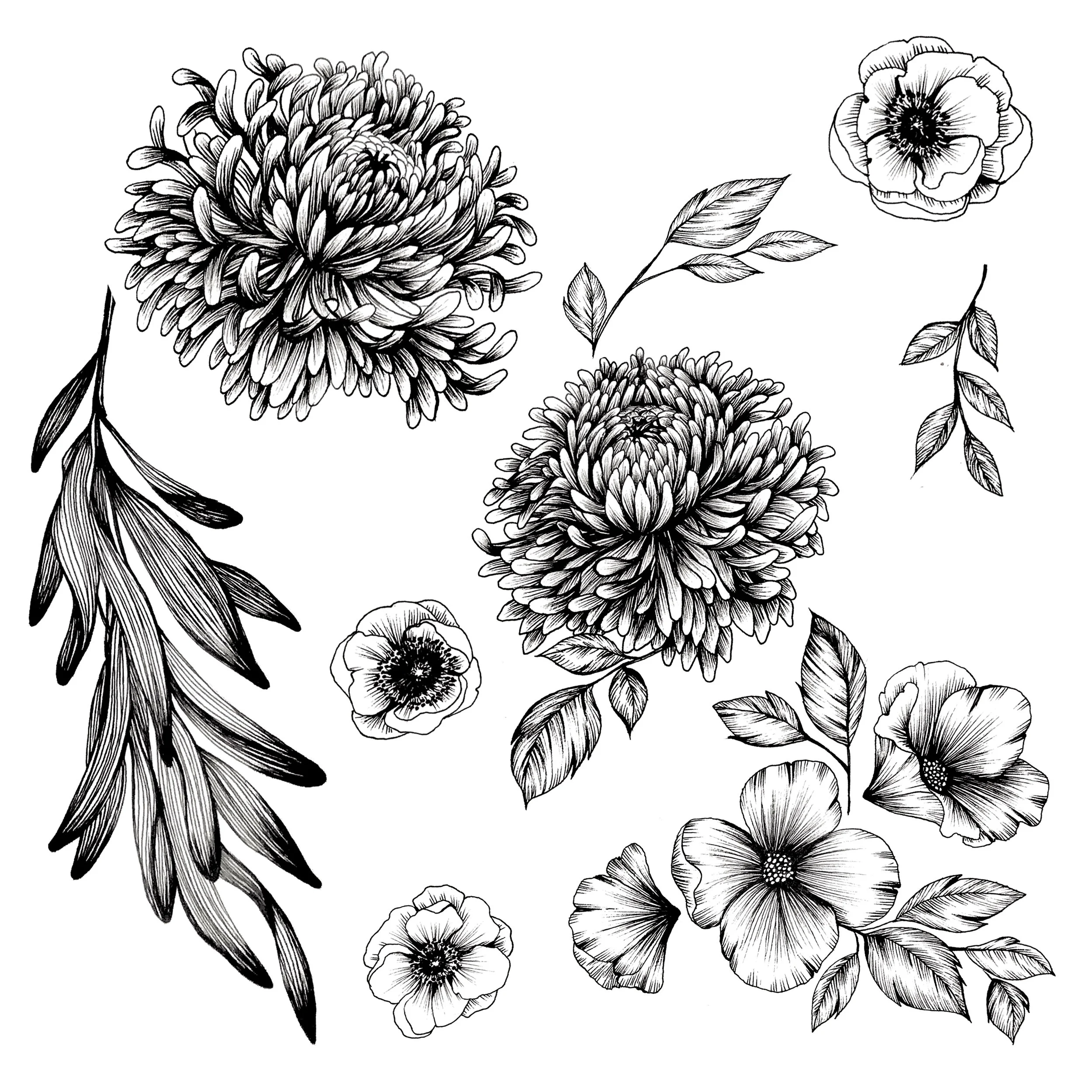 flower sketches .jpg