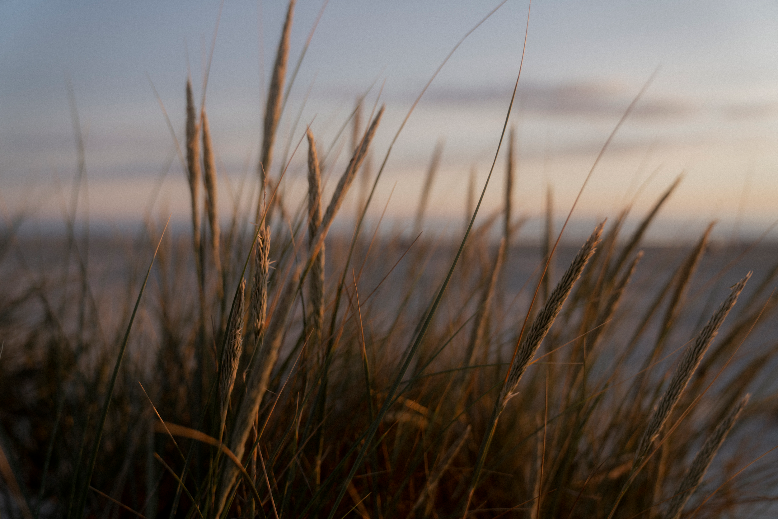 Winter-Collection_26.png