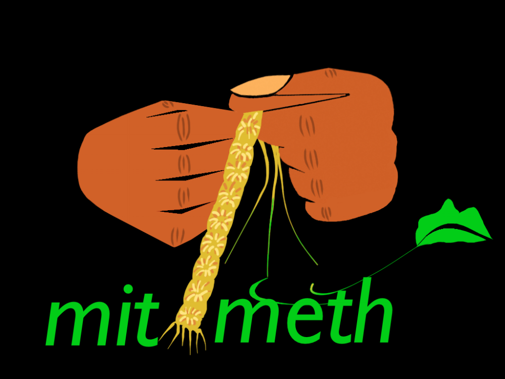 MitiMeth LOGO2018.jpg