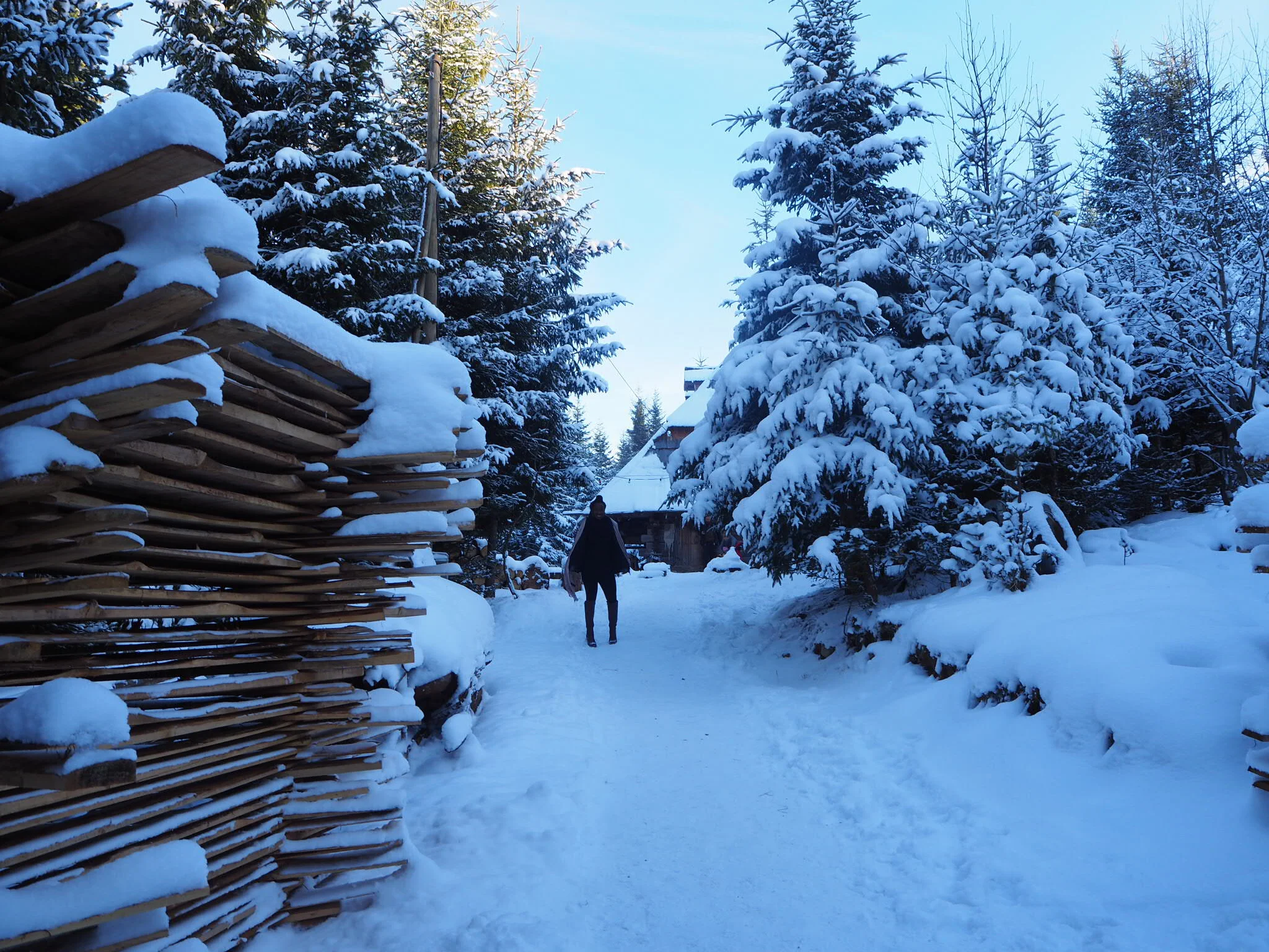 Vukov Konak: Girlcation On The Mountain