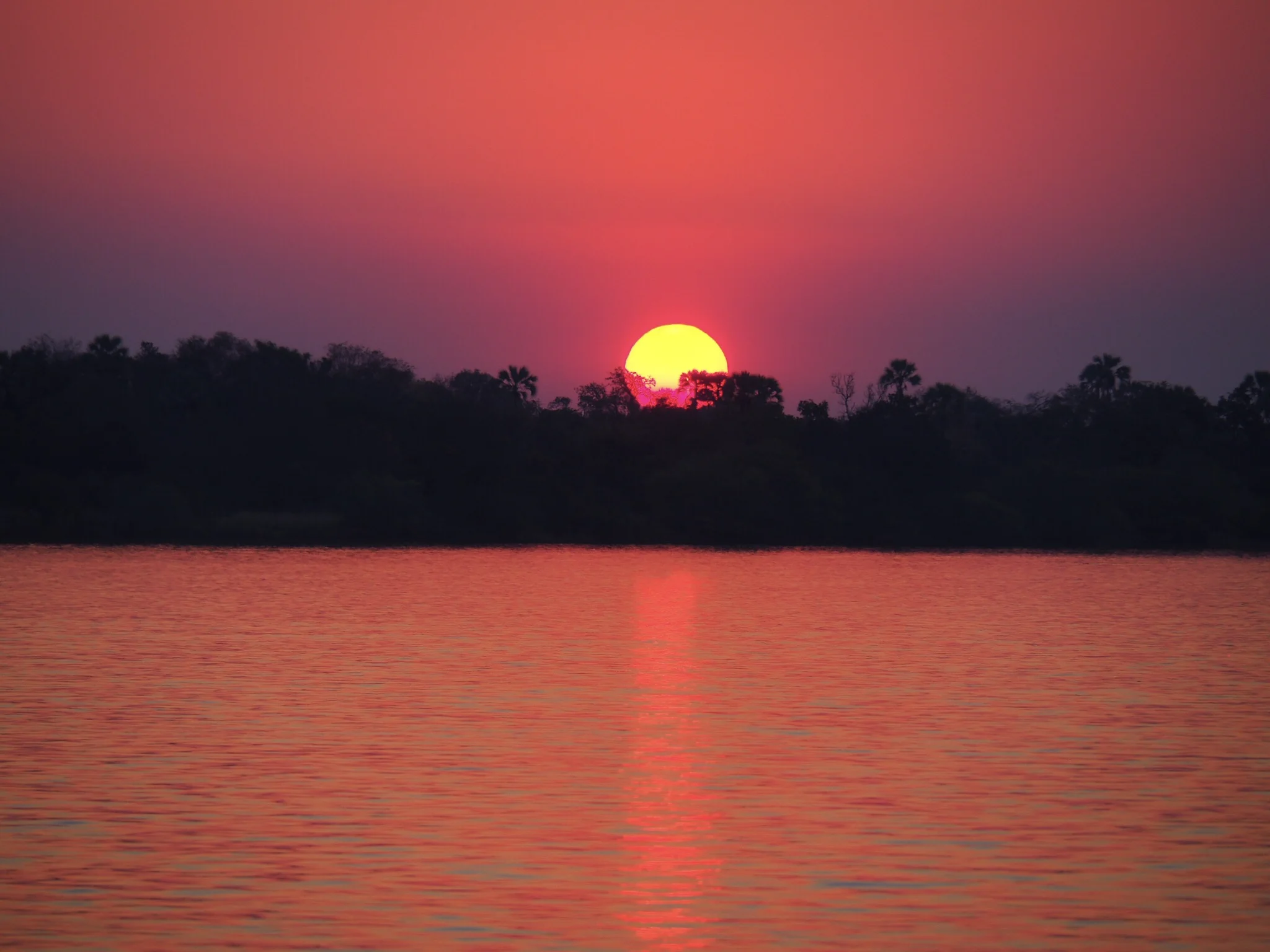 Zambezi River Sunset, Zimbabwe