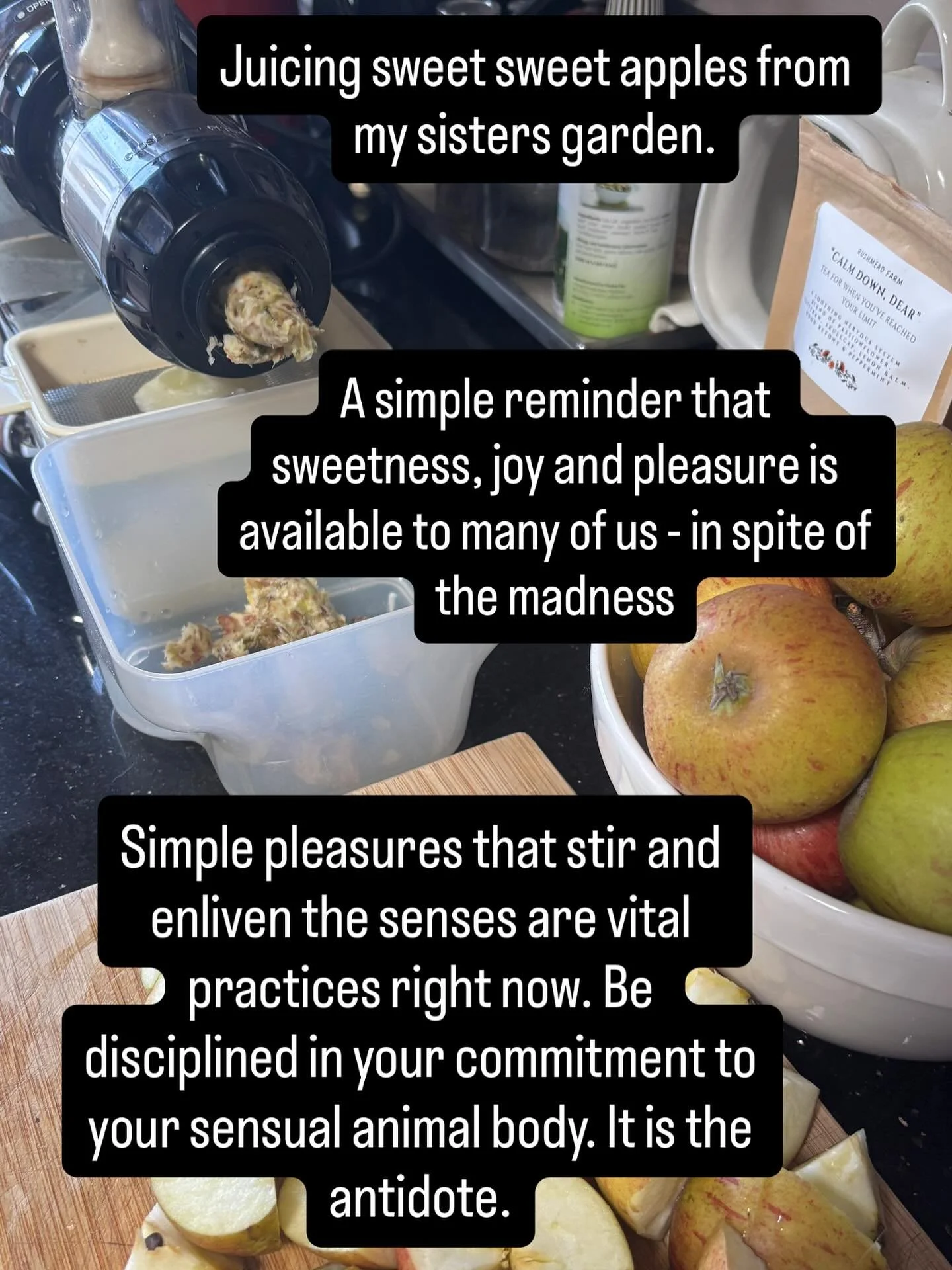 When our bodies have been in long term holding patterns of stress and/or depressed states, it can be physiologically very difficult to experience pleasure and joy. Guilt, shame or fear may often follow close behind any upswell of good feeling. 

And 