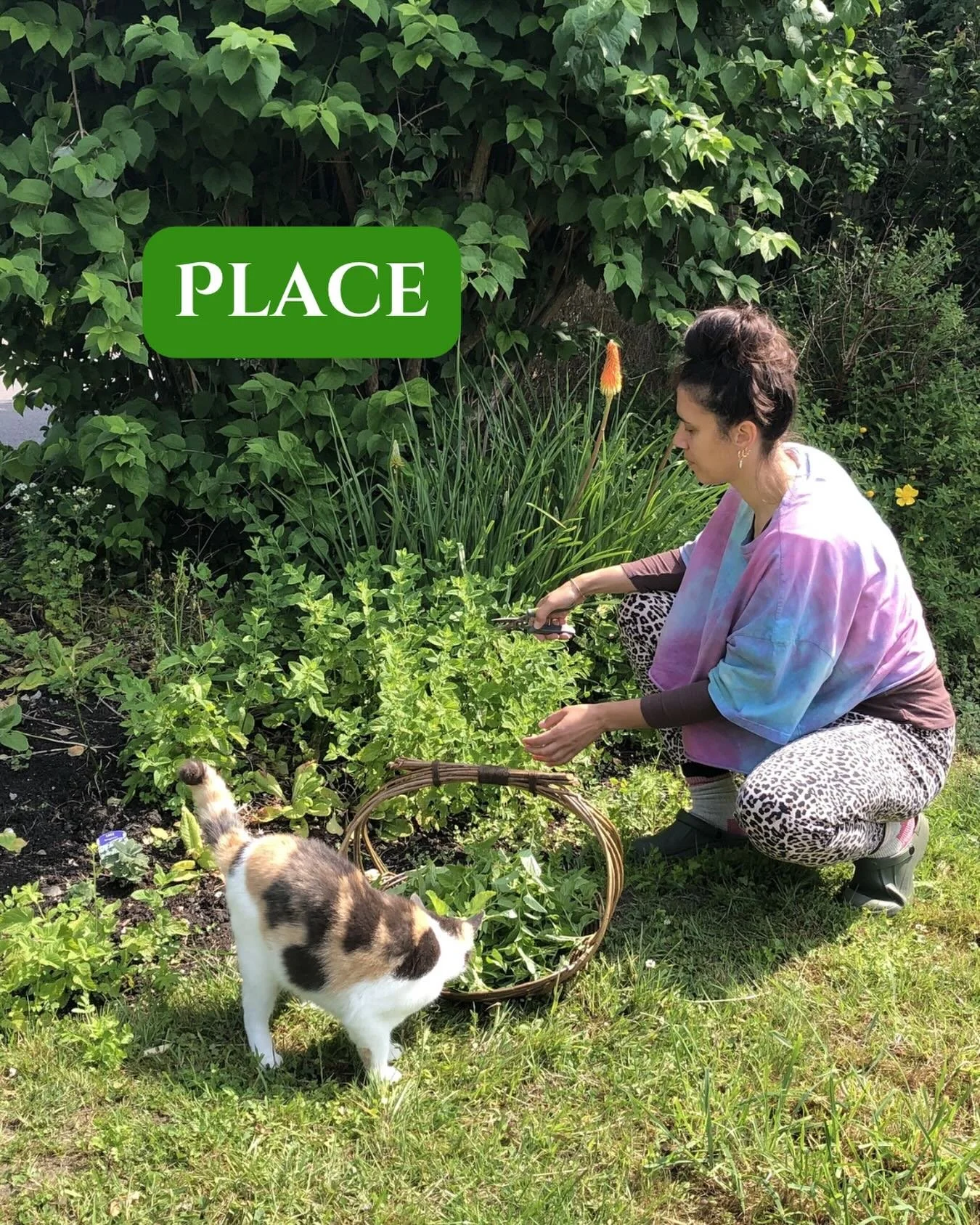 🍃 On Place 🍃

I left London three years ago today and headed for the sticks. I had wanted to leave for years but for various reasons was bound to the City. 

But I knew if I stayed any longer, parts of me would begin to die off. I didn&rsquo;t unde