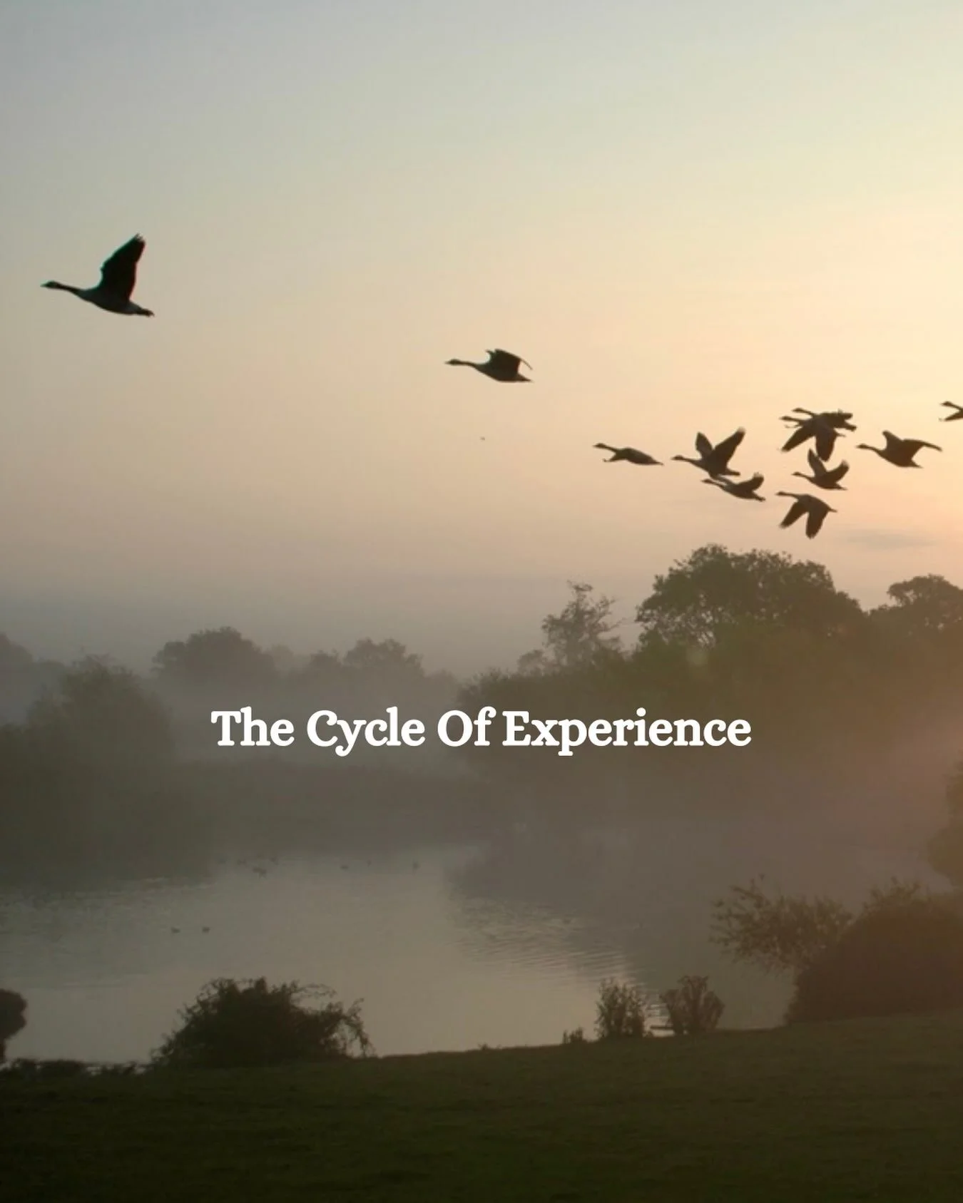 Why do I ignore my own needs? Understanding the gestalt Cycle of Experience.

Many of us move through life disconnected from our own needs. Not because we don&rsquo;t have them of course, but because throughout the course of our life, it&rsquo;s like