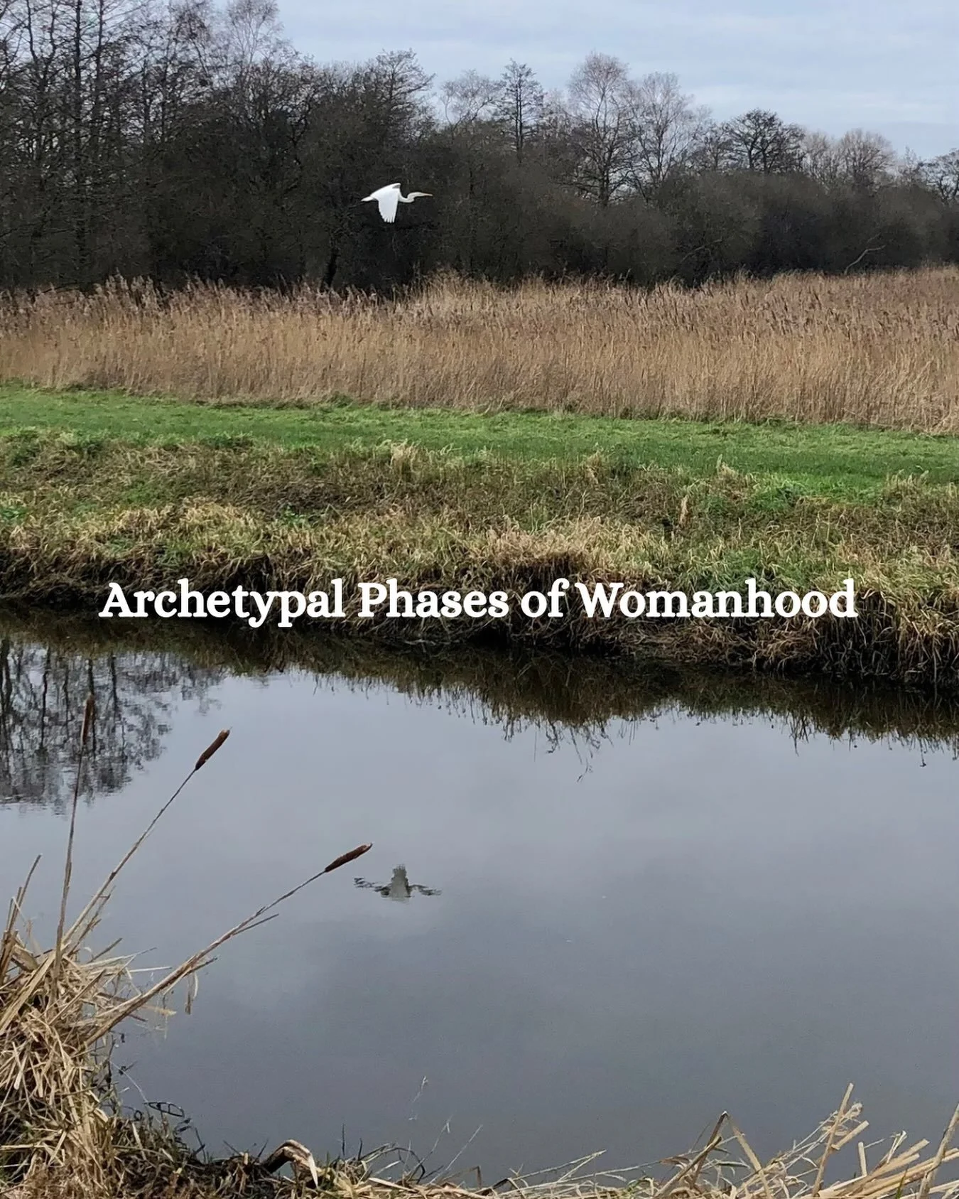 I speak often about the seasons of a woman&rsquo;s life and how each phase is not simply about growing older but about becoming more deeply attuned to ourselves; gradually growing into a life with greater presence, spirit and ease.

I was recently ta