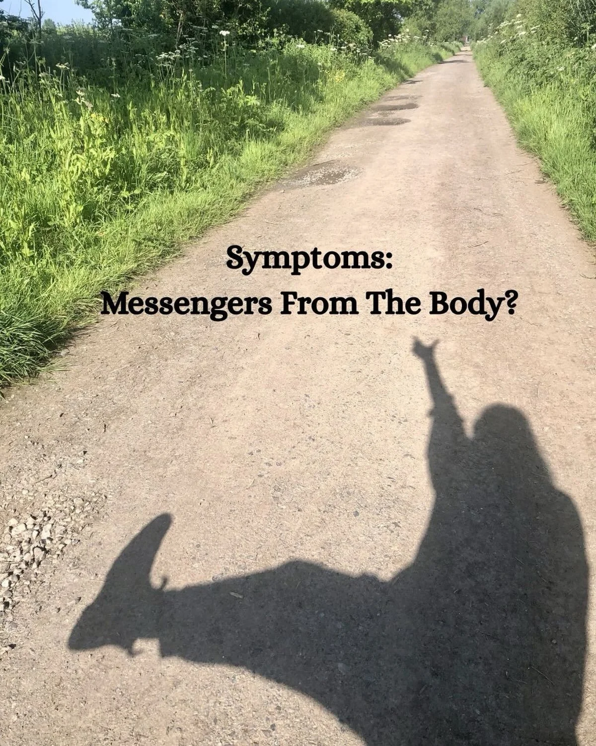 Over the last few months, I&rsquo;ve been continuing my lifelong exploration of the mindbody relationship - particularly through the lens of women&rsquo;s health at midlife.

As many of us move through the threshold of Sagessence or perimenopause, we