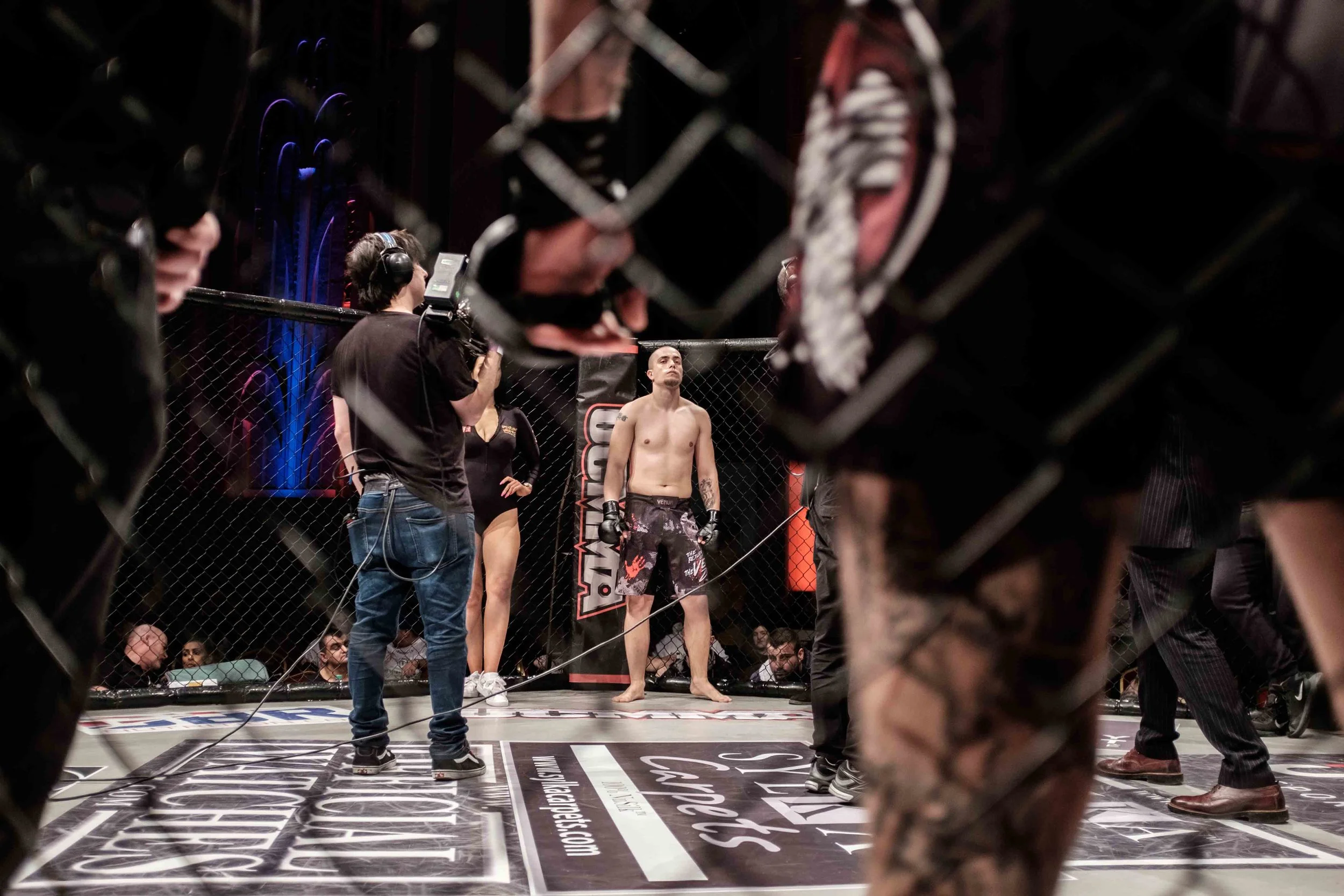 into the cage-8997.jpg