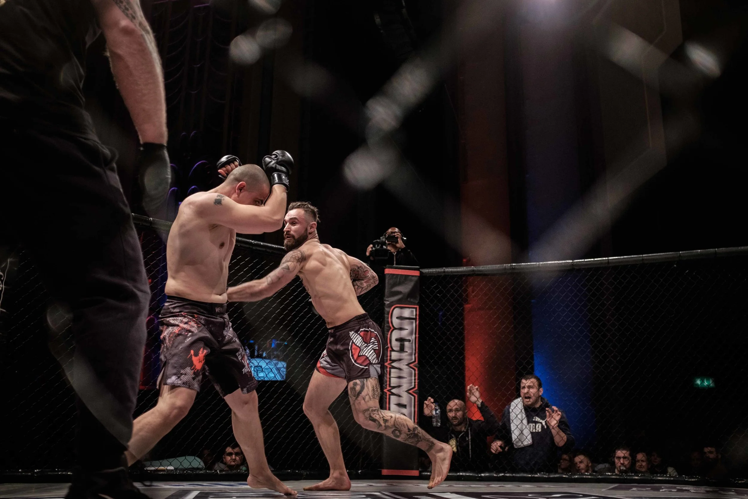 into the cage-9018.jpg