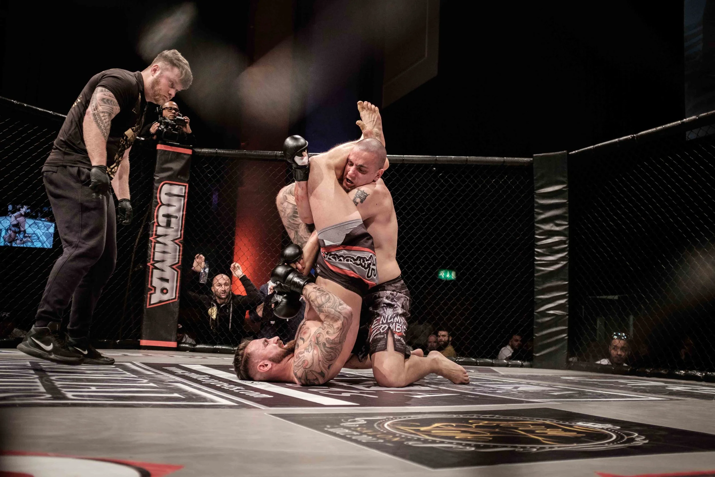 into the cage-9028.jpg