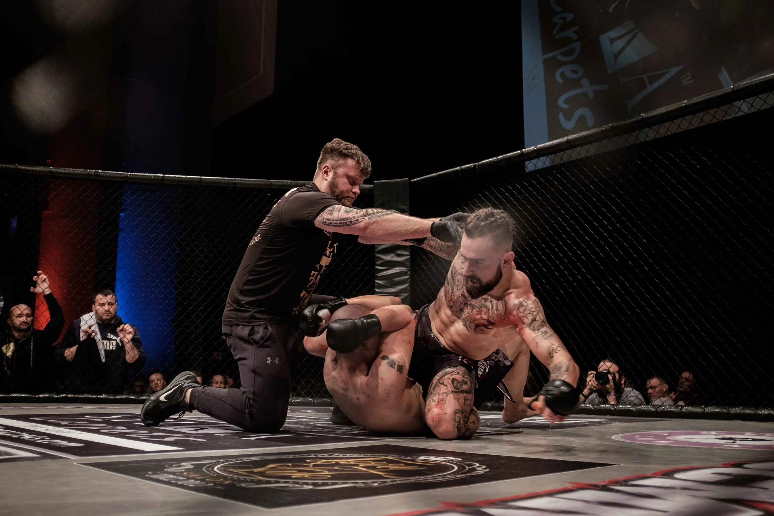 into the cage-9044.jpg