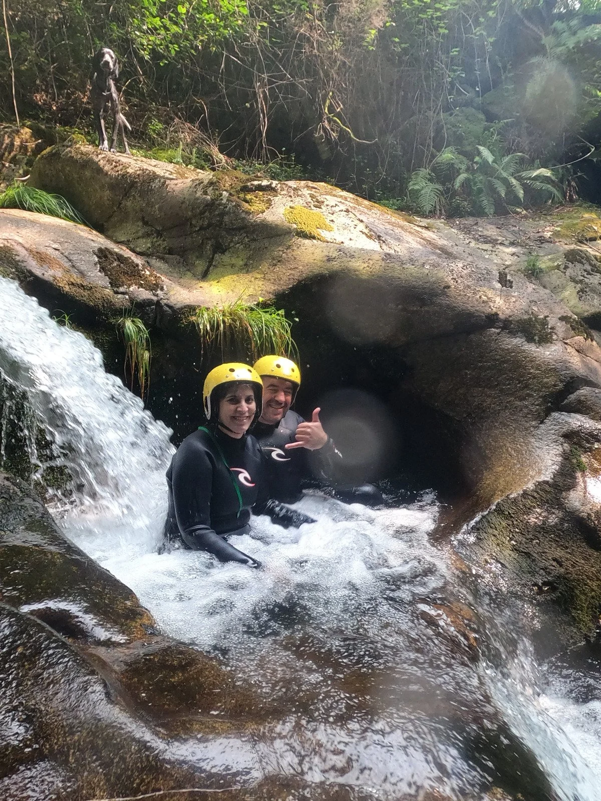 WhatsApp Image 2023-08-10 at 17.46.53(1).jpeg