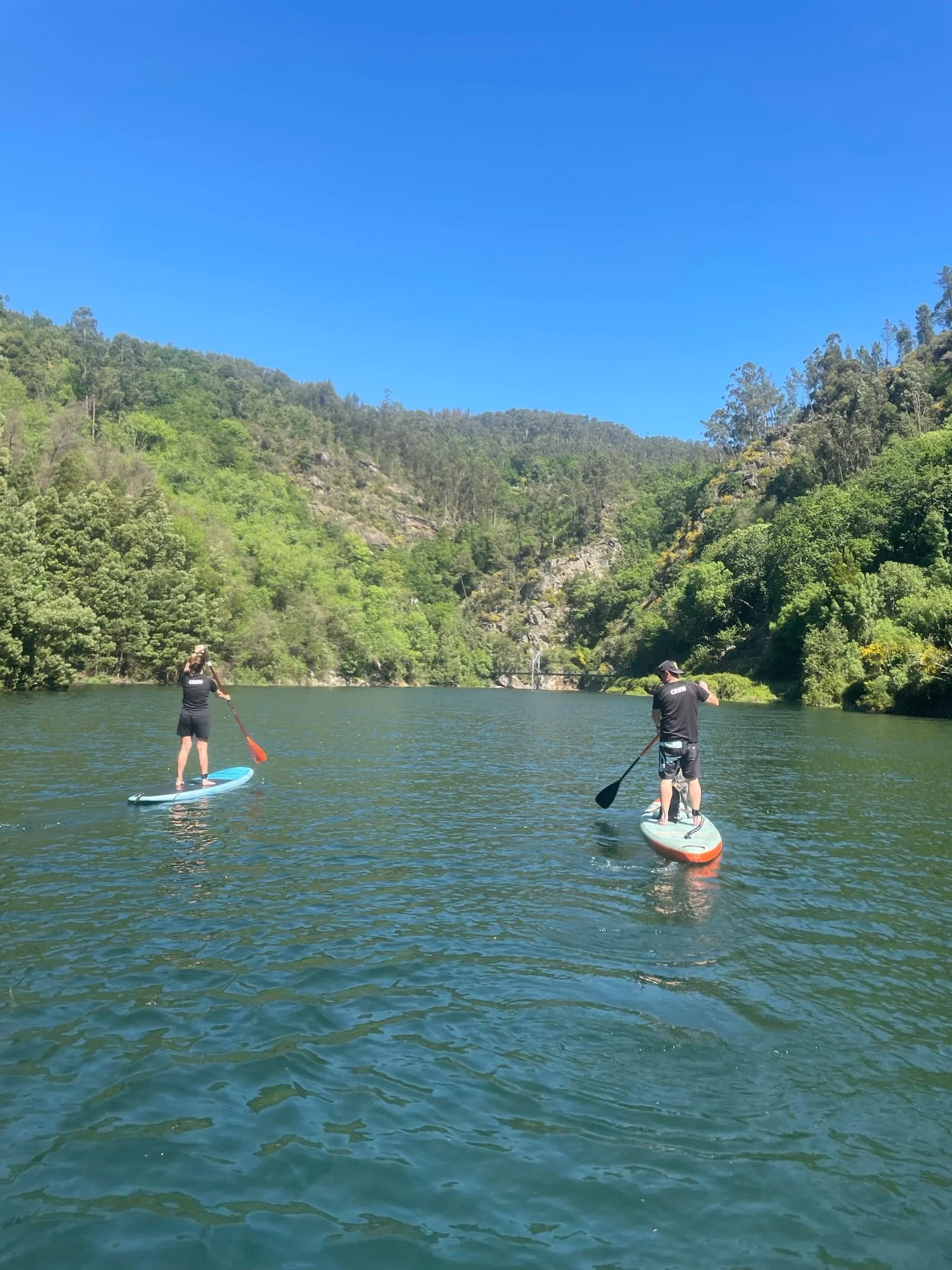 WhatsApp Image 2023-04-26 at 16.12.07(2).jpeg