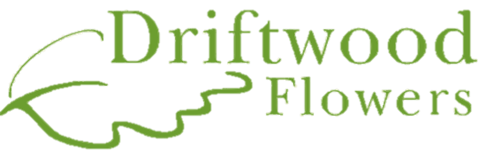 Driftwood Flowers Logo Transparent.png