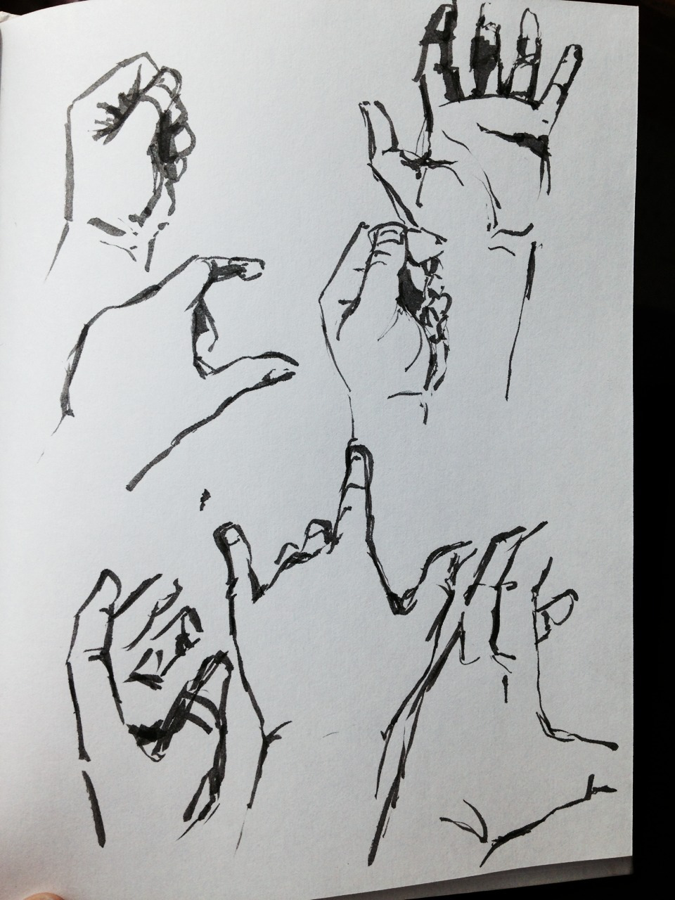IMG_4794.PNG