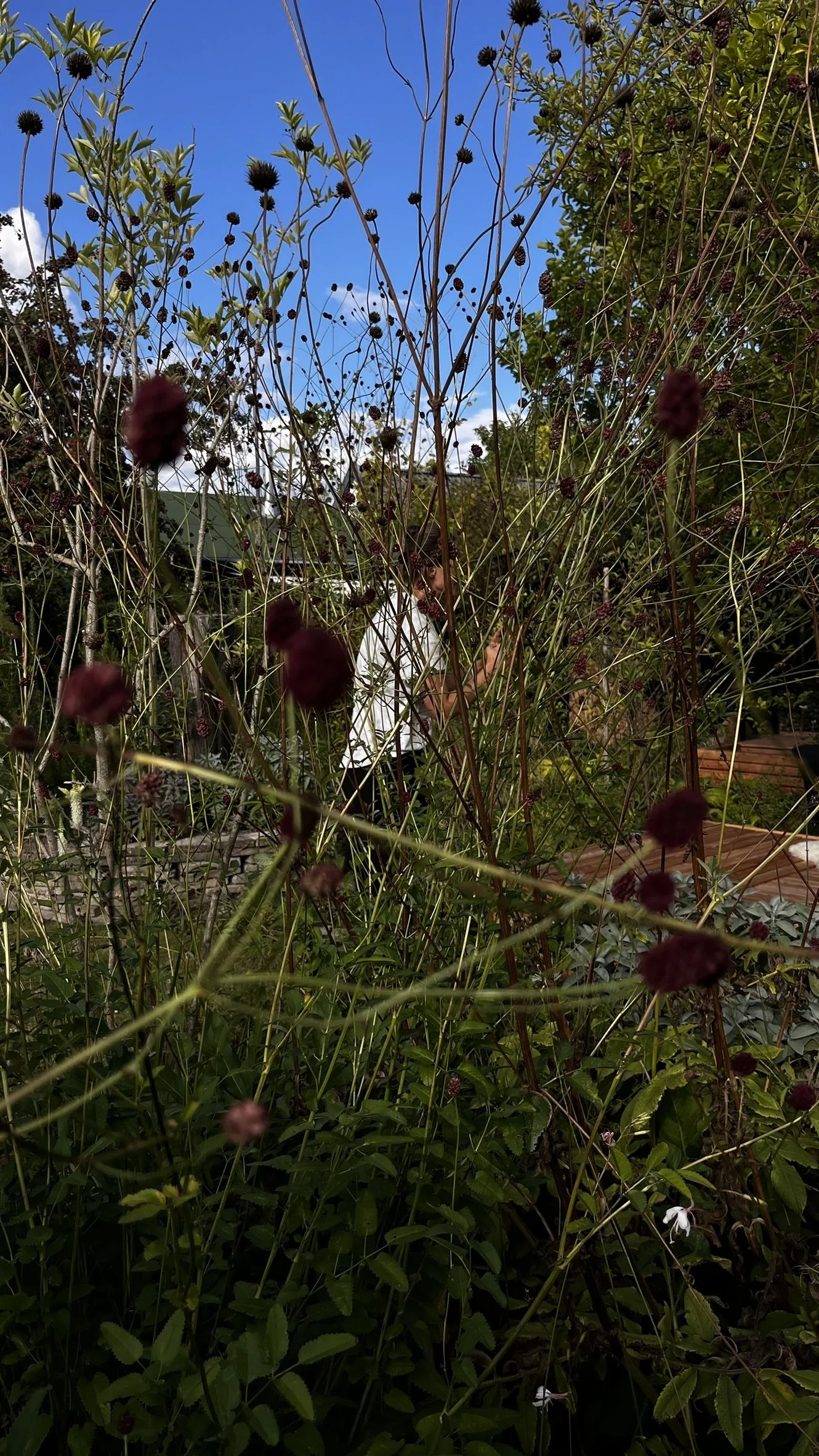 IMG_8738.JPEG