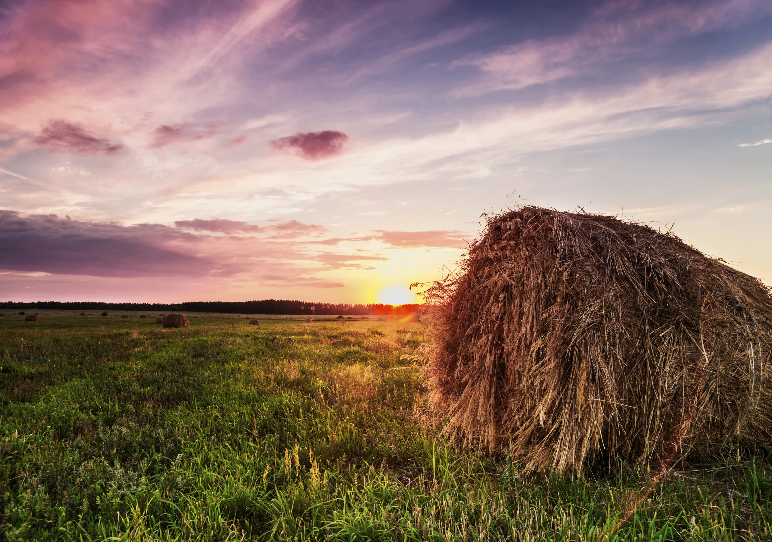 iStock_000047970858_Large.jpg