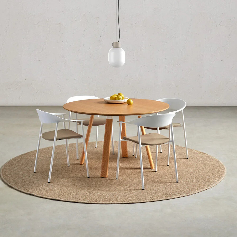 PLANIA Table Conférence Tusch Seating grande photo 3.jpg
