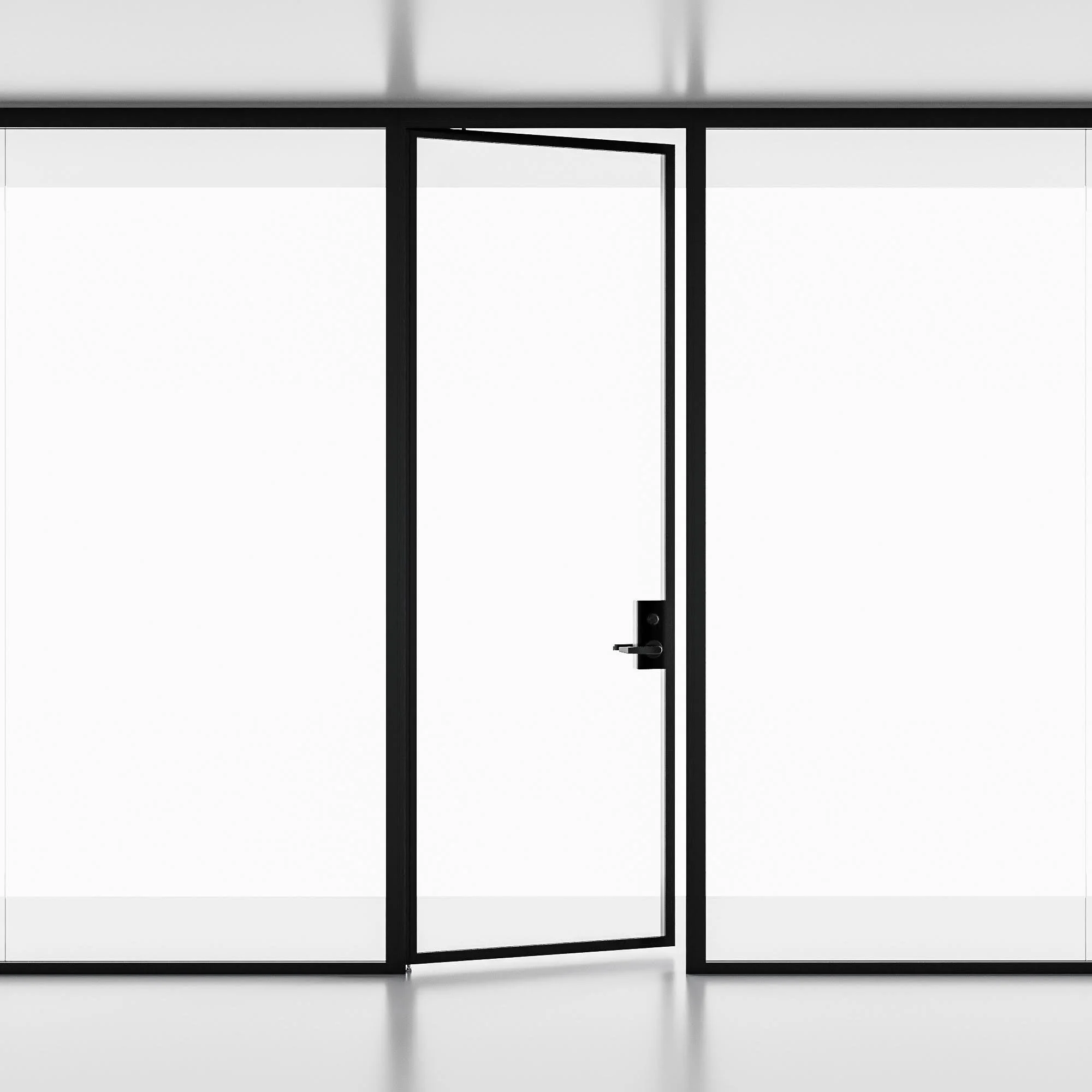 PORTES PIVOTANTES
