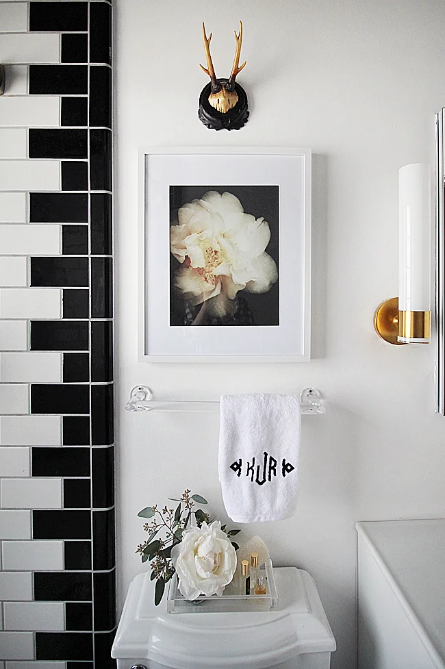 BathroomOverToilet_zps56a0eb86.jpg