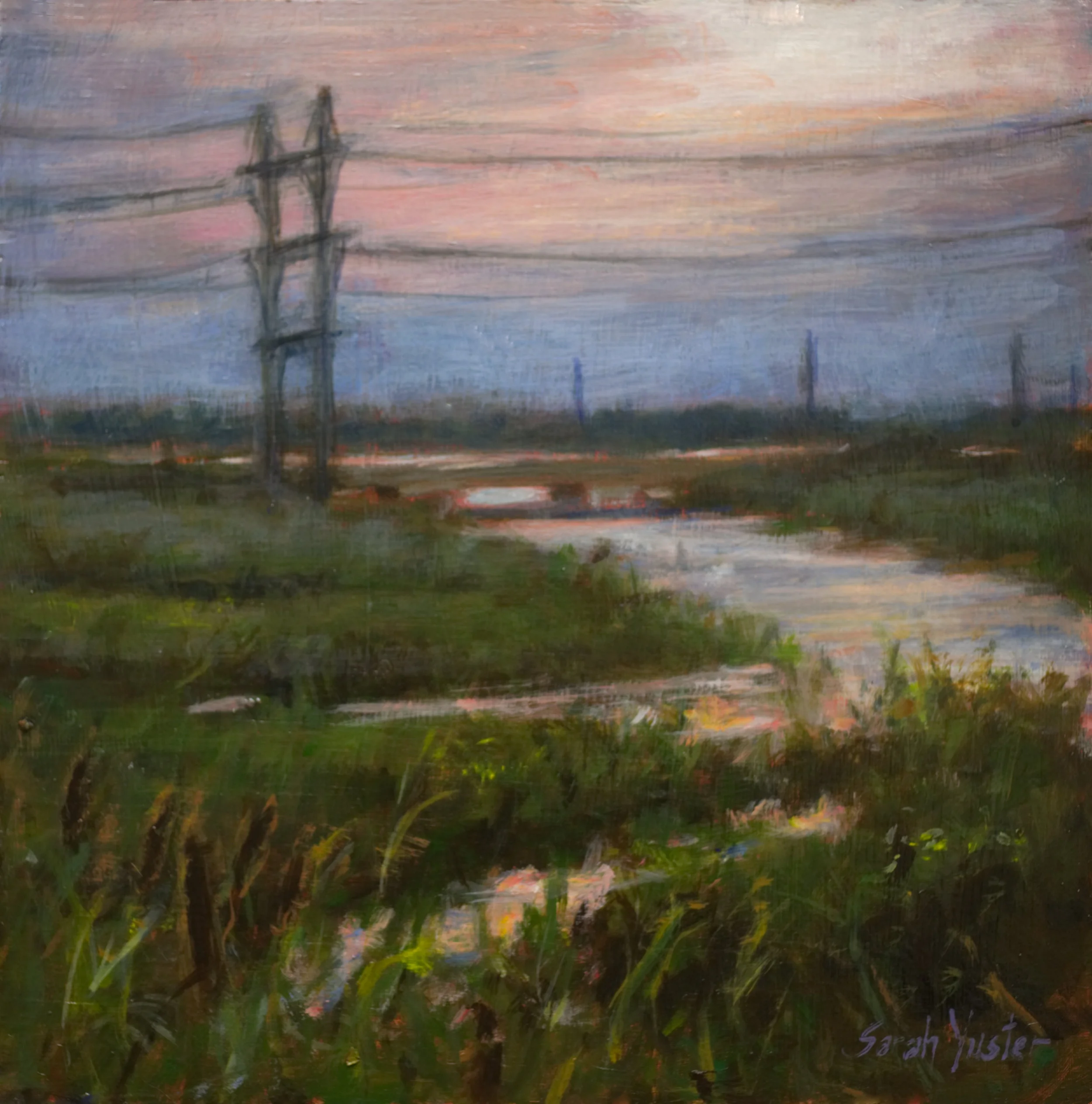 Salt Marshes and Power Lines
