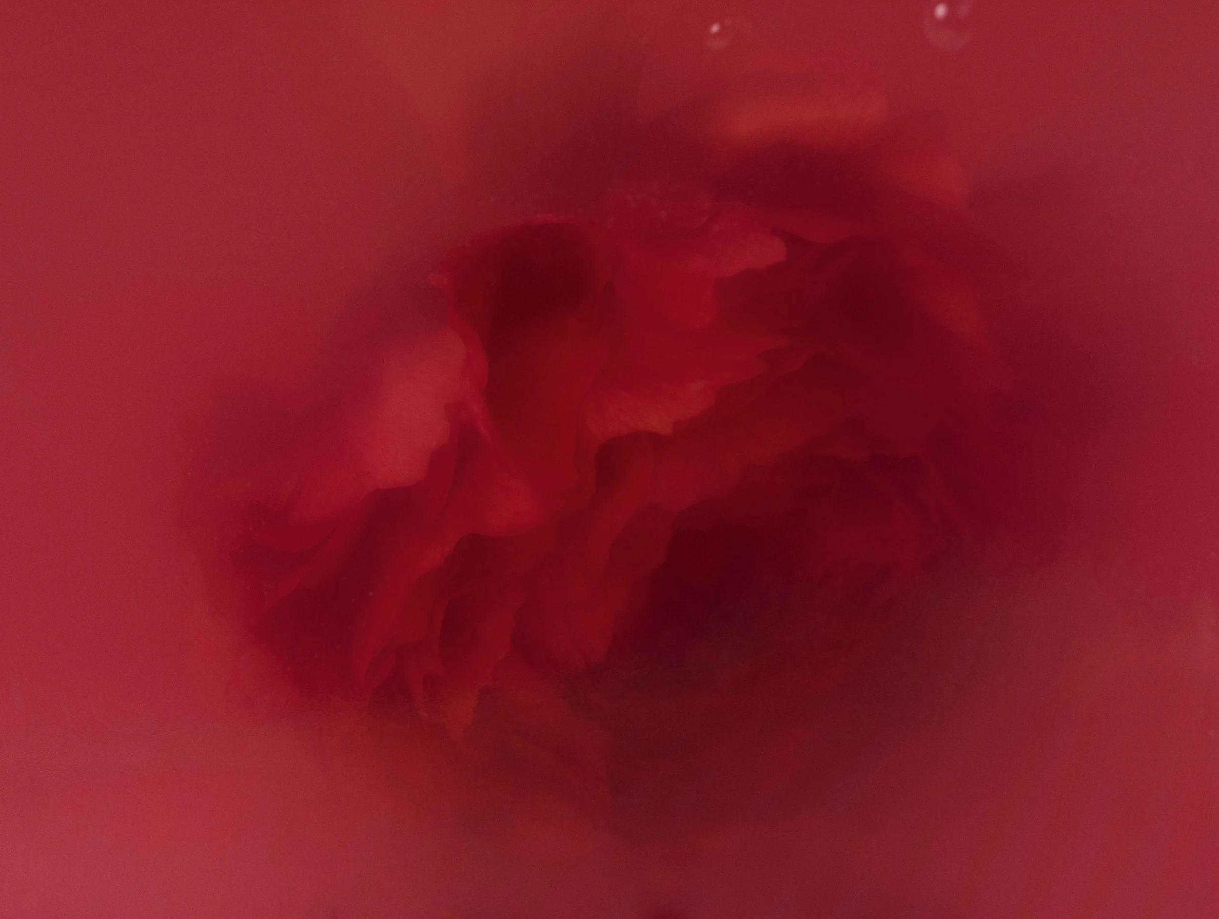 H-Mag-Beauty_S04_104_A_CMYK.jpg