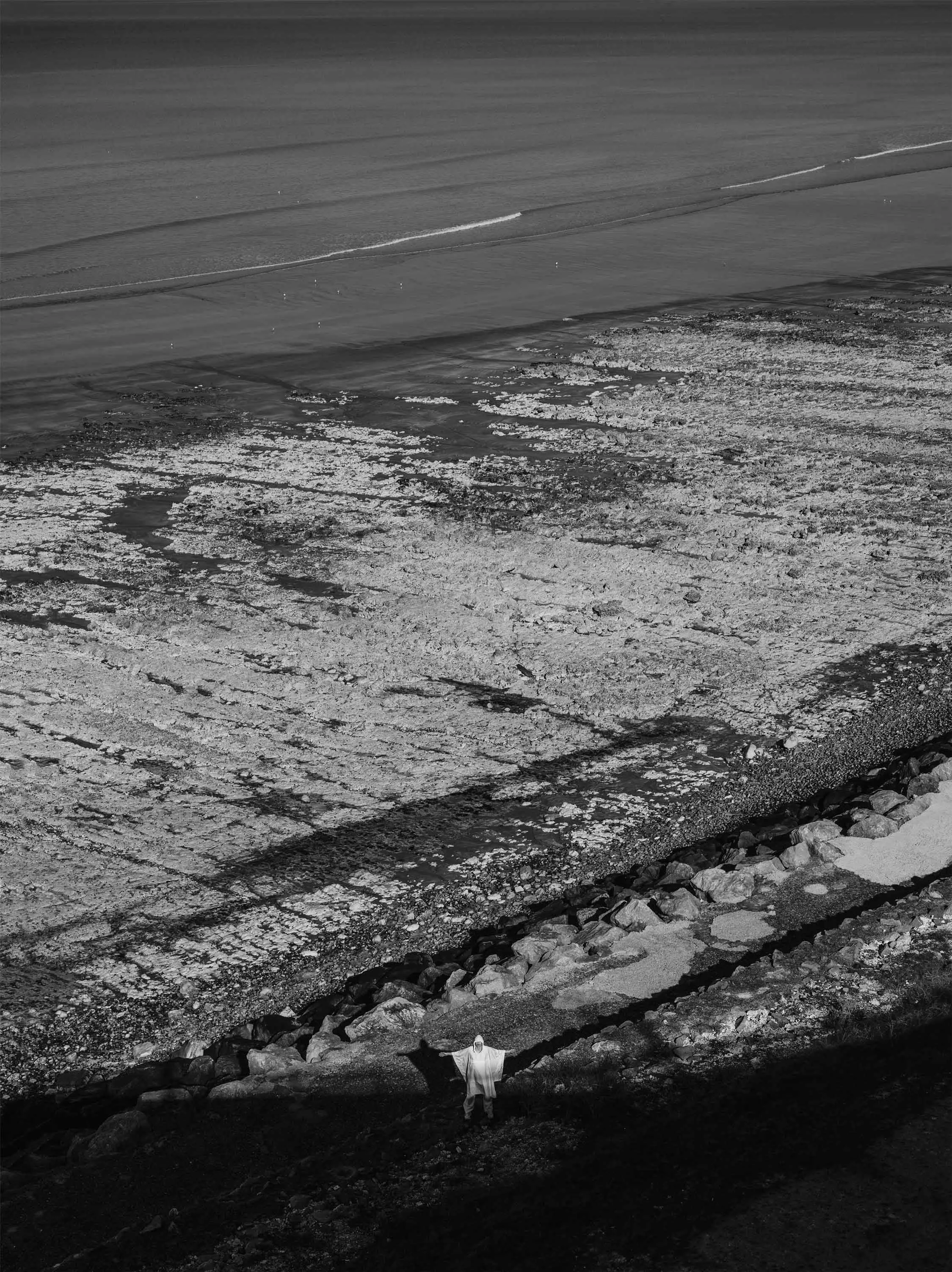 _DSC9117.jpg