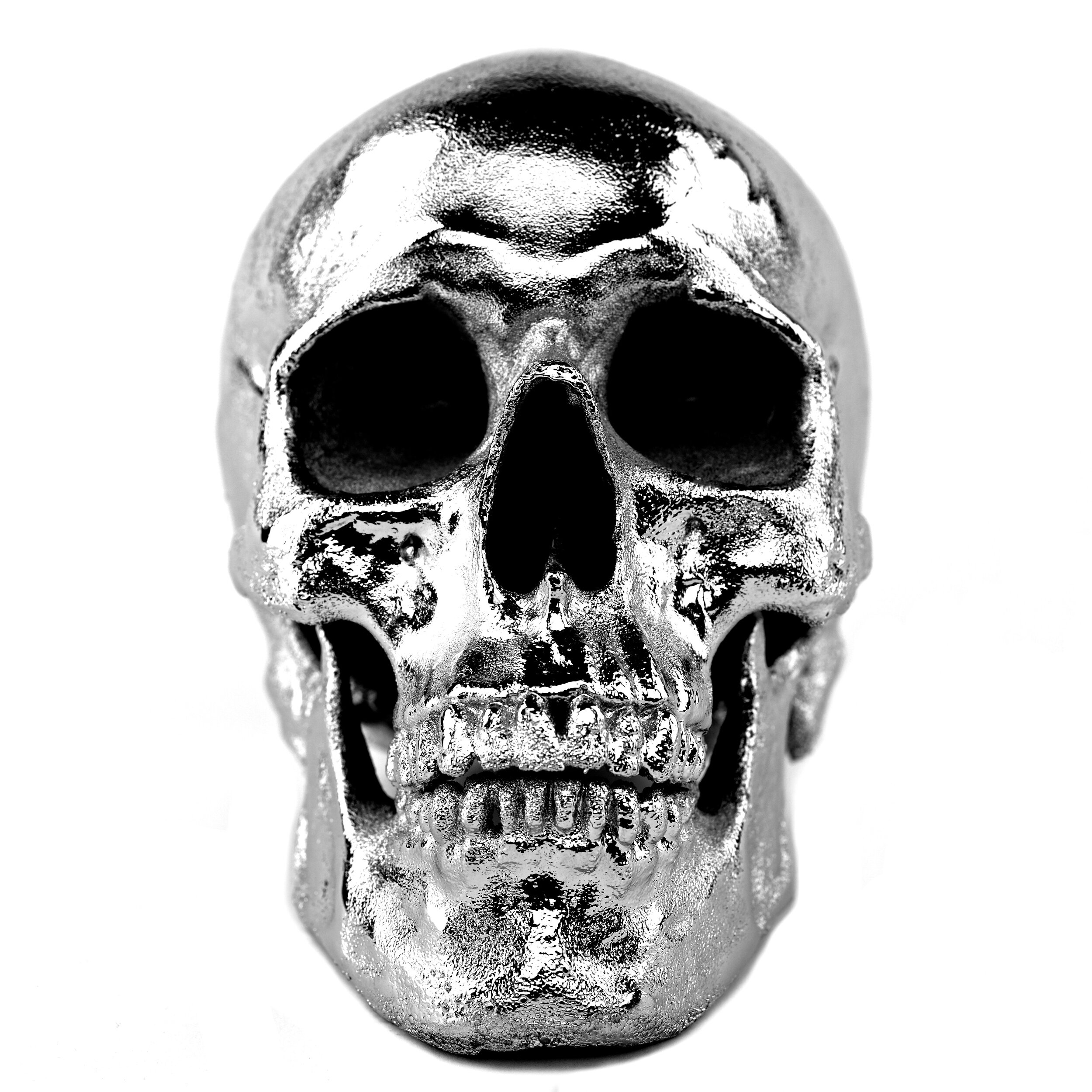  “THE PURITY OF WAR”  NICKEL PLATED HUMAN SKULL   RESIN CAST   