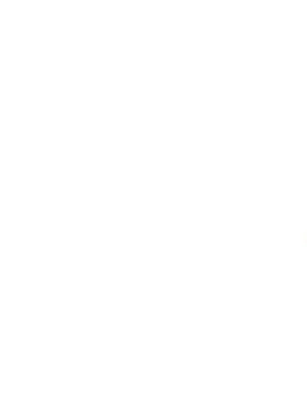 Resized-ICAA+Logo+.jpg