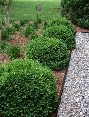 http://www.saundersbrothers.com/_ccLib/image/plants/DETA-720.jpg