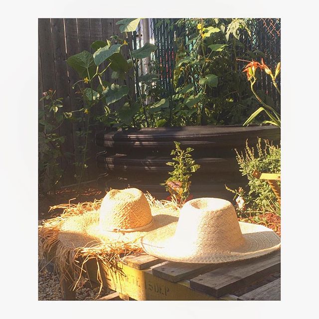 Soaking up some late afternoon rayz!💛 These classic and new styles are nearly ready for the Surf Market @rockawaybeachbakery for the @womenssurffilmfestival Come through Saturday from 1-6!! #newstyle #classic #forboysandgirls #process #sunbaked #sum