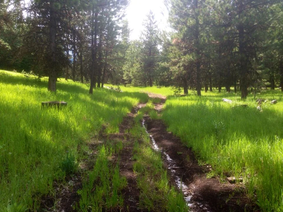 The Forest Service proposal to carve up the Ochocos with 137 miles of off-road vehicle trails would destroy our peaceful enjoyment of this special place and benefit less than 4% of all forest visitors.