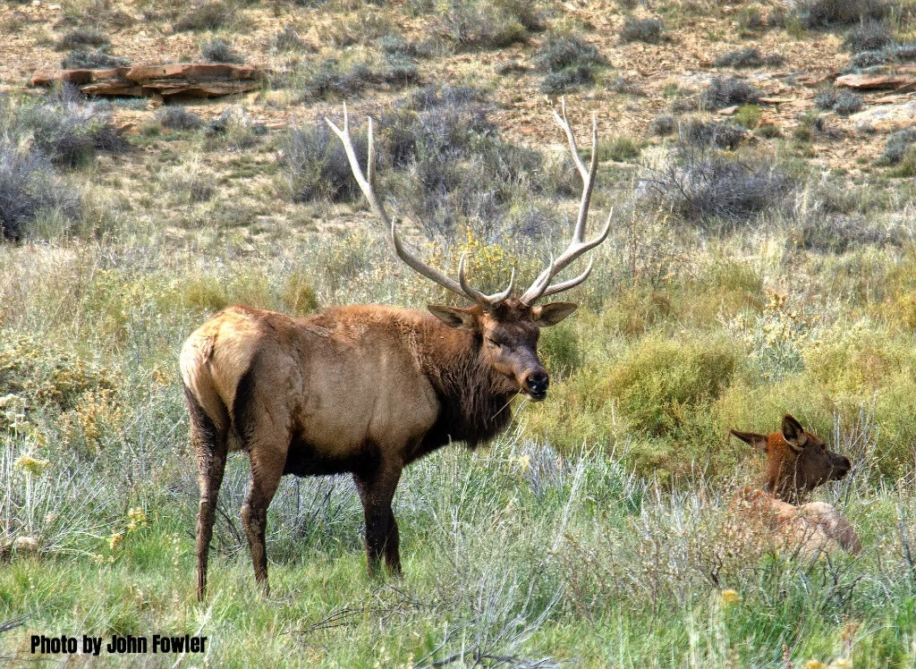 The Oregon Hunters Association is concerned that the Ochoco Summit Trail System will damage critical wildlife habitat and drive elk and deer off their habitat and onto private lands.