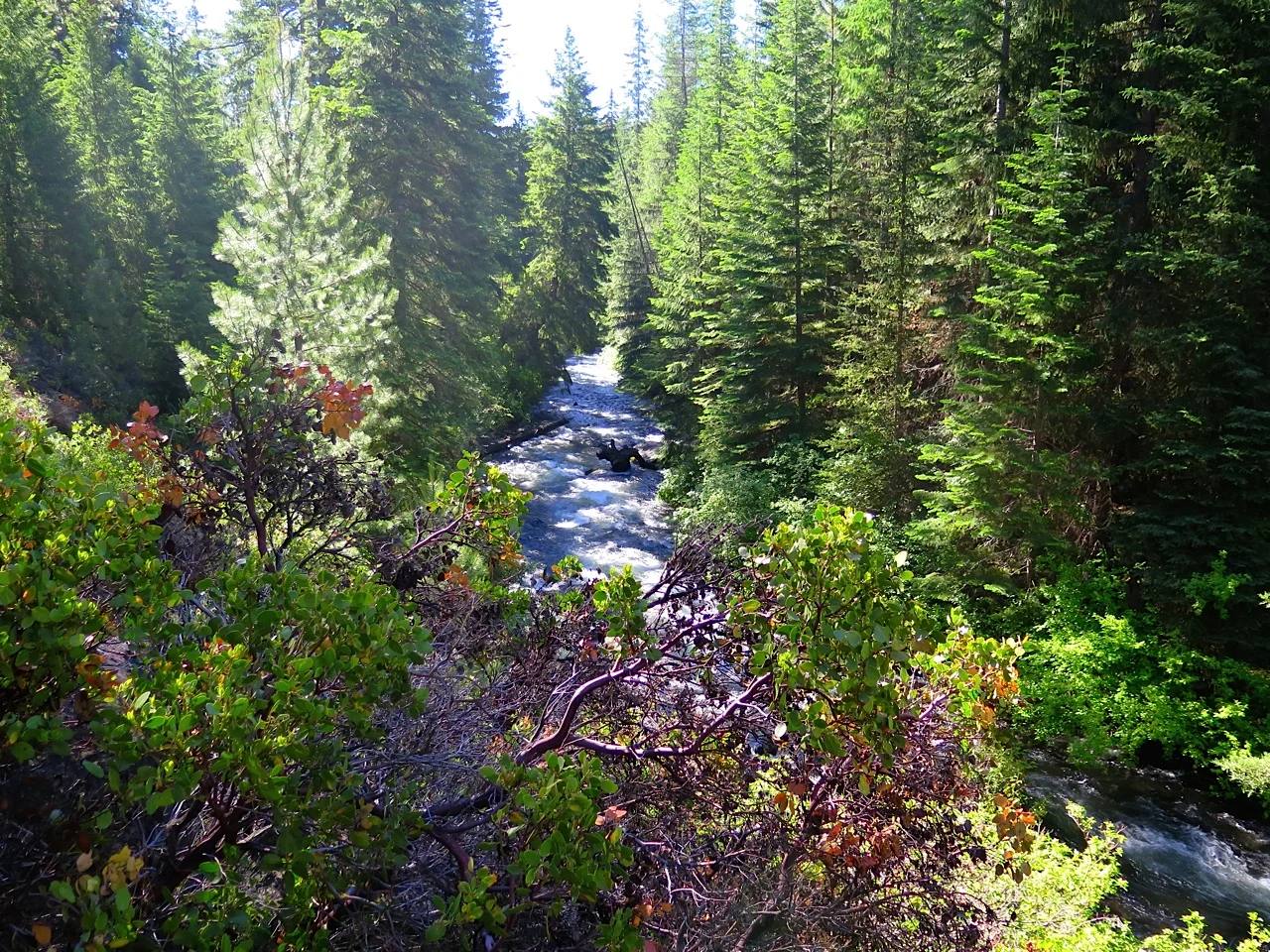 Photo of Tumalo Creek courtesy of Rob Windlix