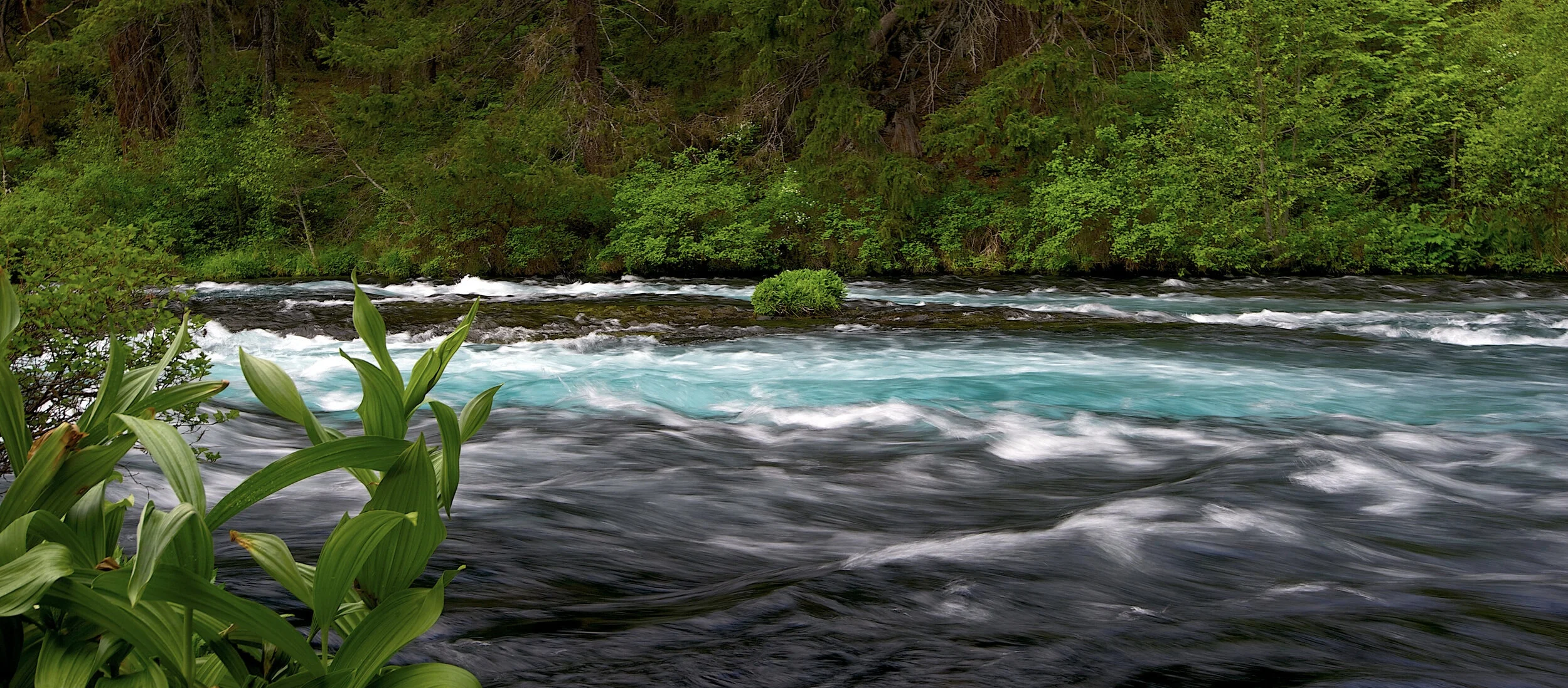 Central Oregon LandWatch
