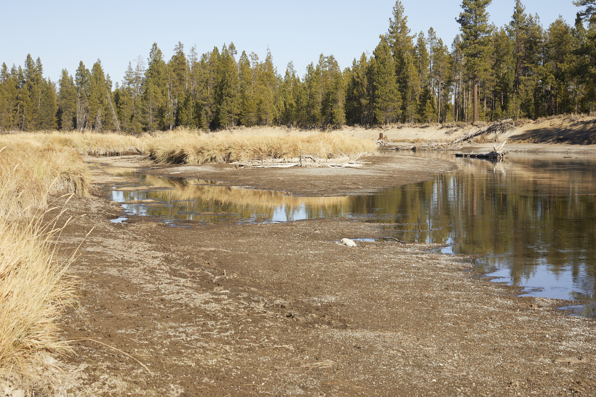 Low flows in the Upper Deschutes. Photo: Paul Riedmiller