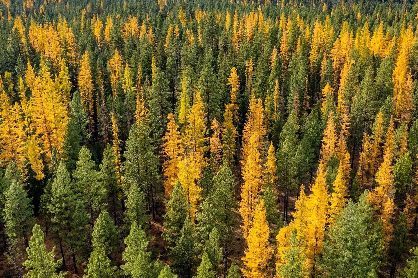 The Latest — Central Oregon LandWatch