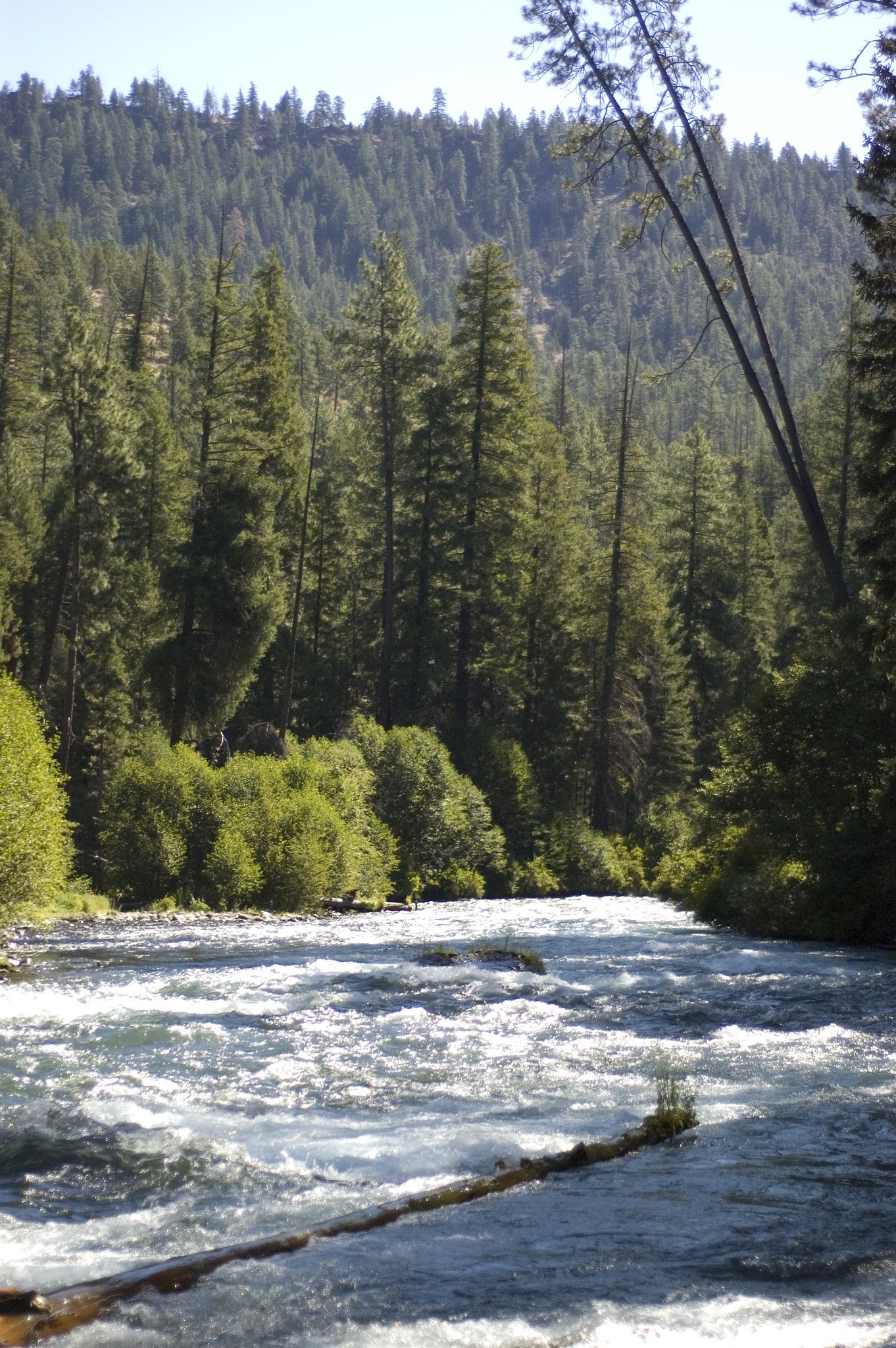 Defending the cold, clear water of the Metolius River Basin — Central  Oregon LandWatch