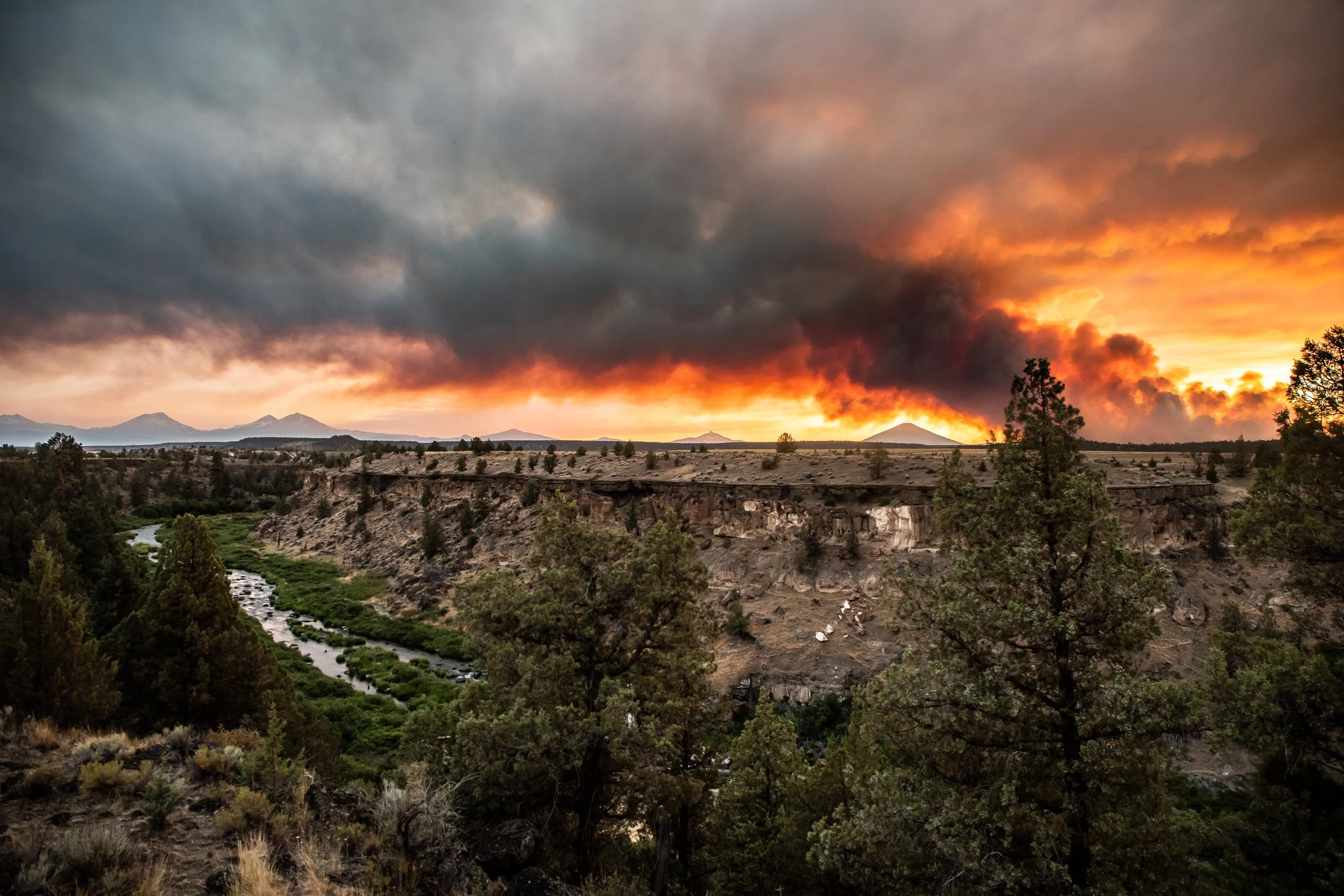 Planning for a fire-resilient future