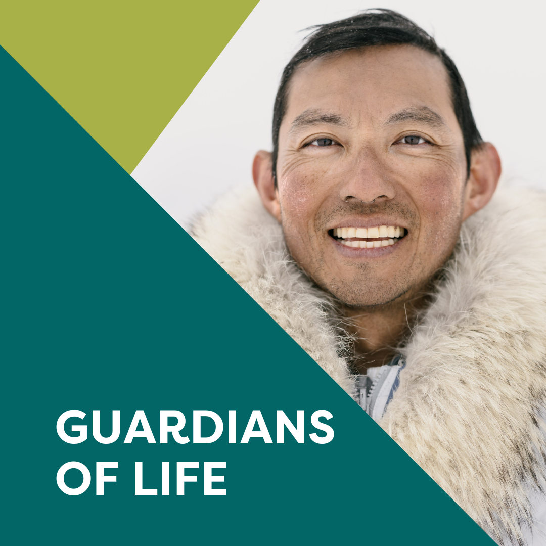 Guardians of Life