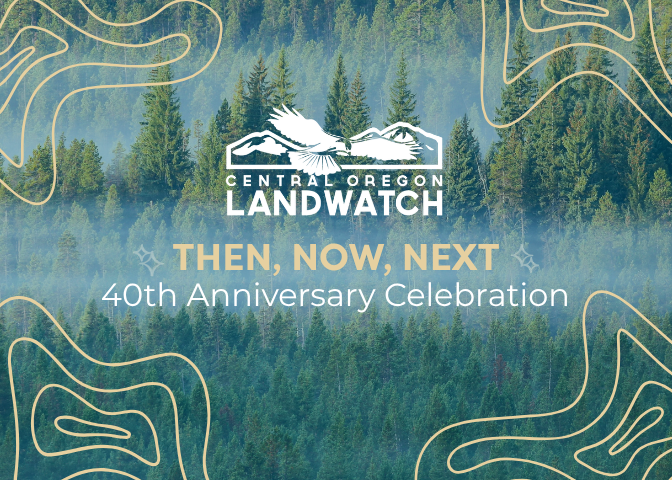 40th Anniversary Celebration