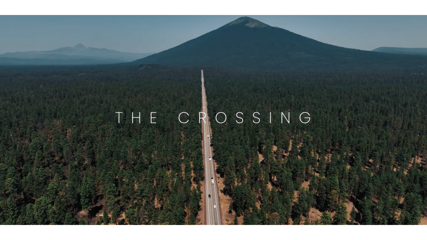 Wildlife Crossings As Empathy in Concrete Form