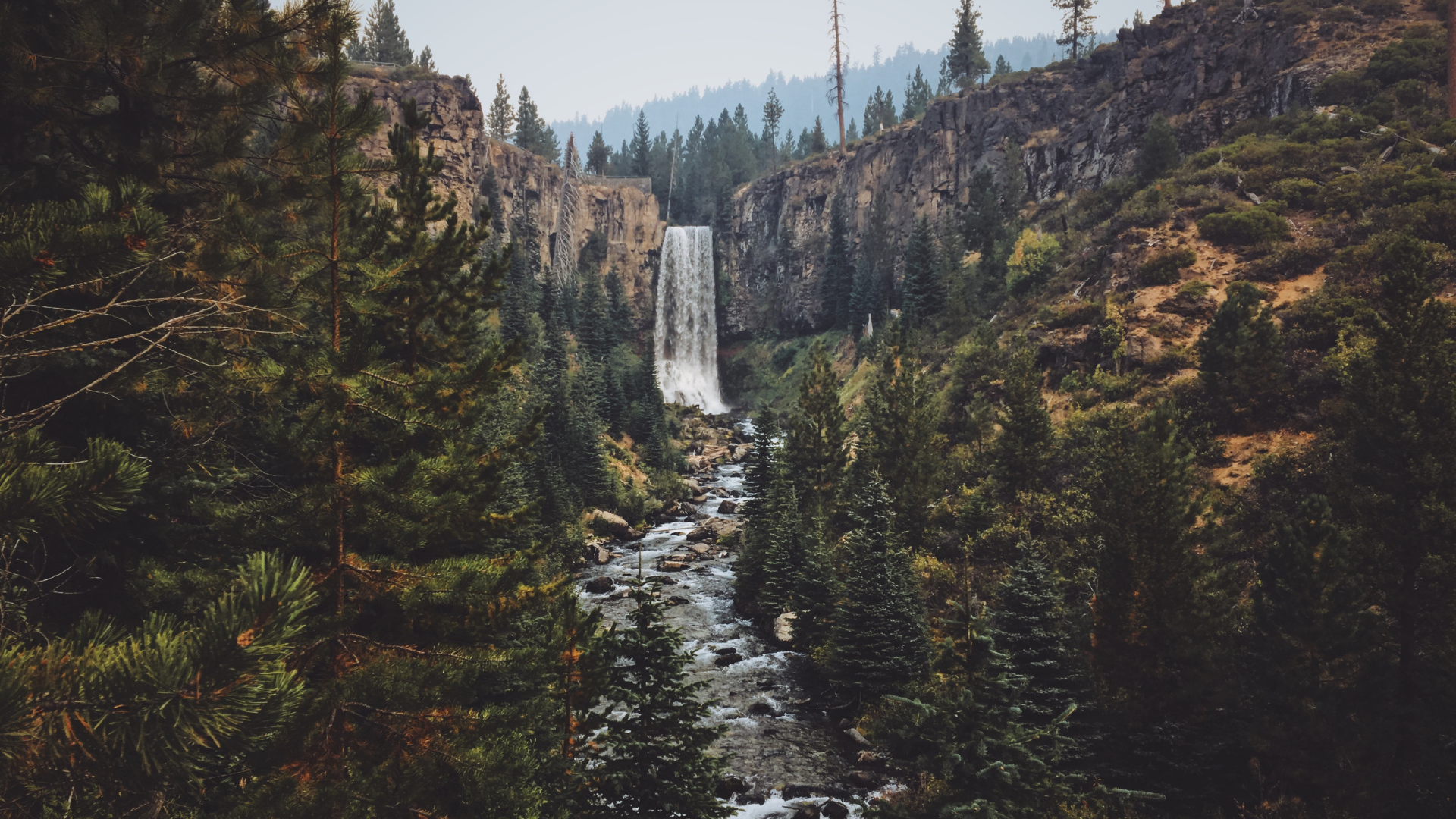 Protect Oregon’s Wildest Places