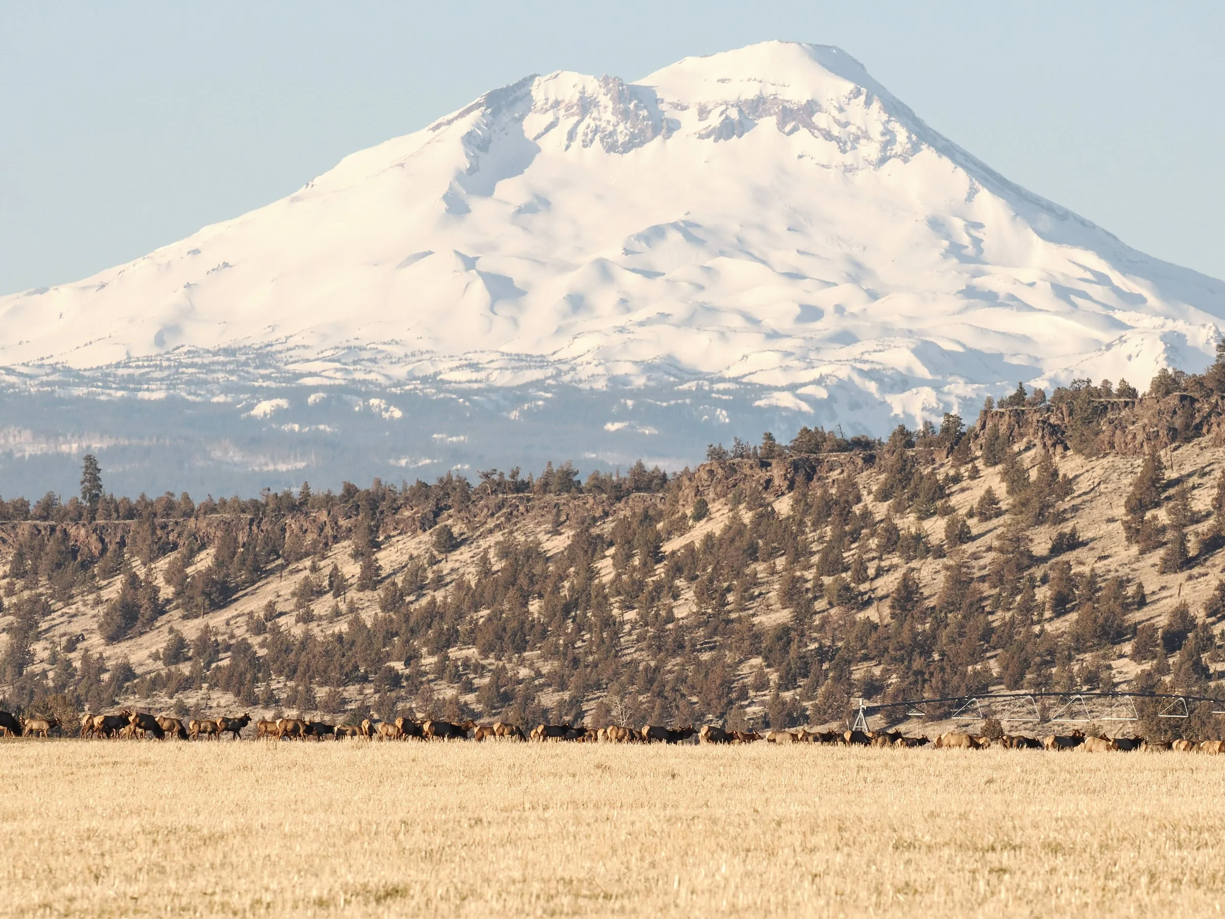 Legal victories make it harder to rezone farmland for rural sprawl