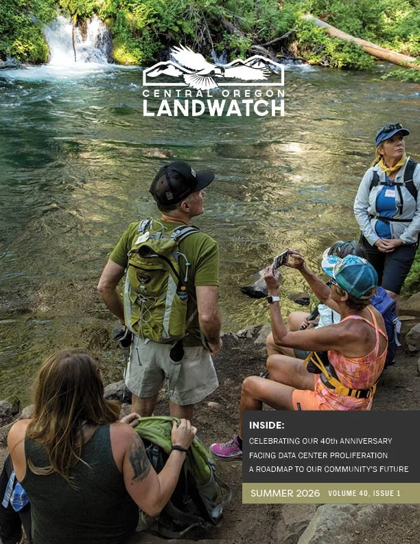 Summer 2026 Newsletter