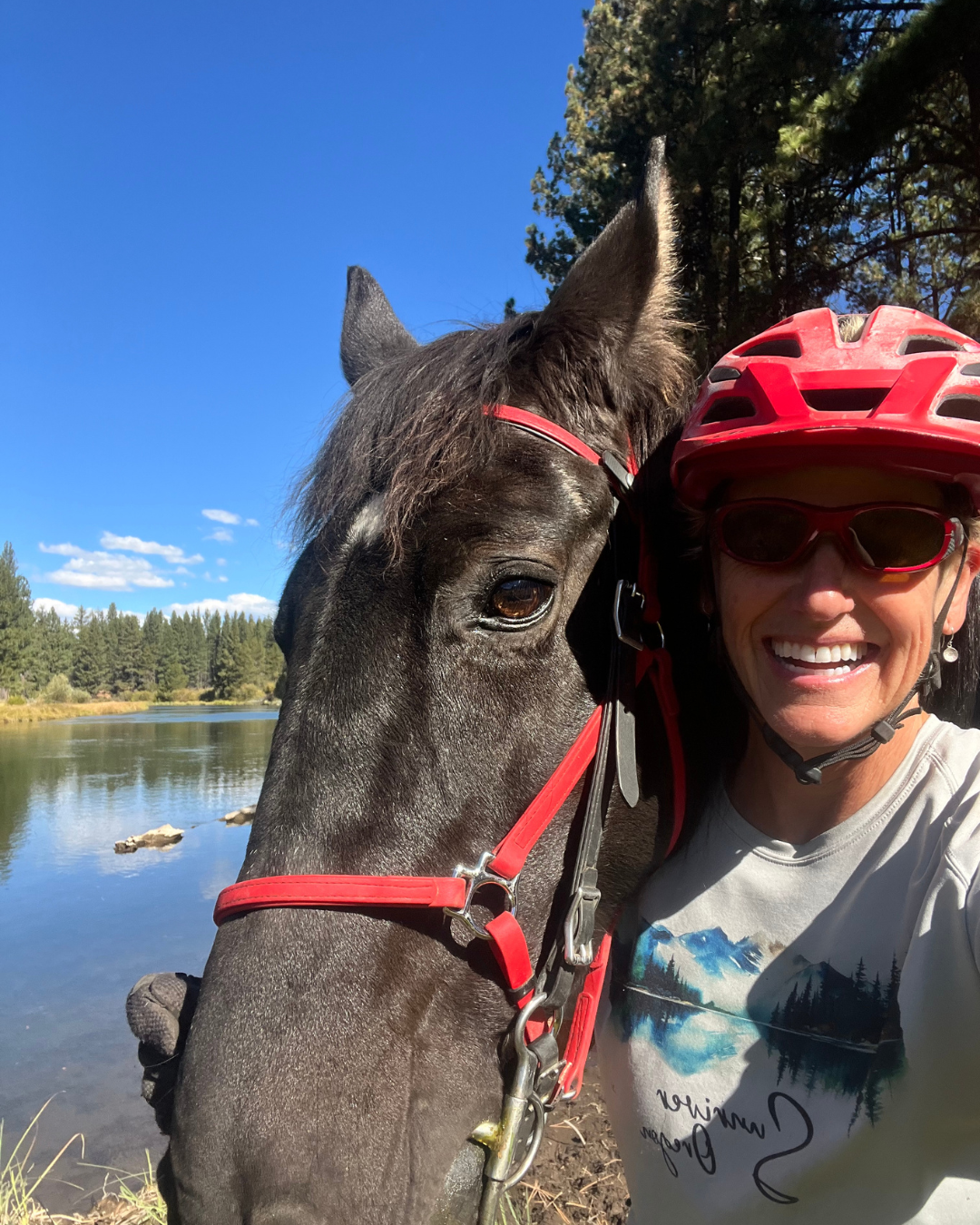 New Board Members, New Insights