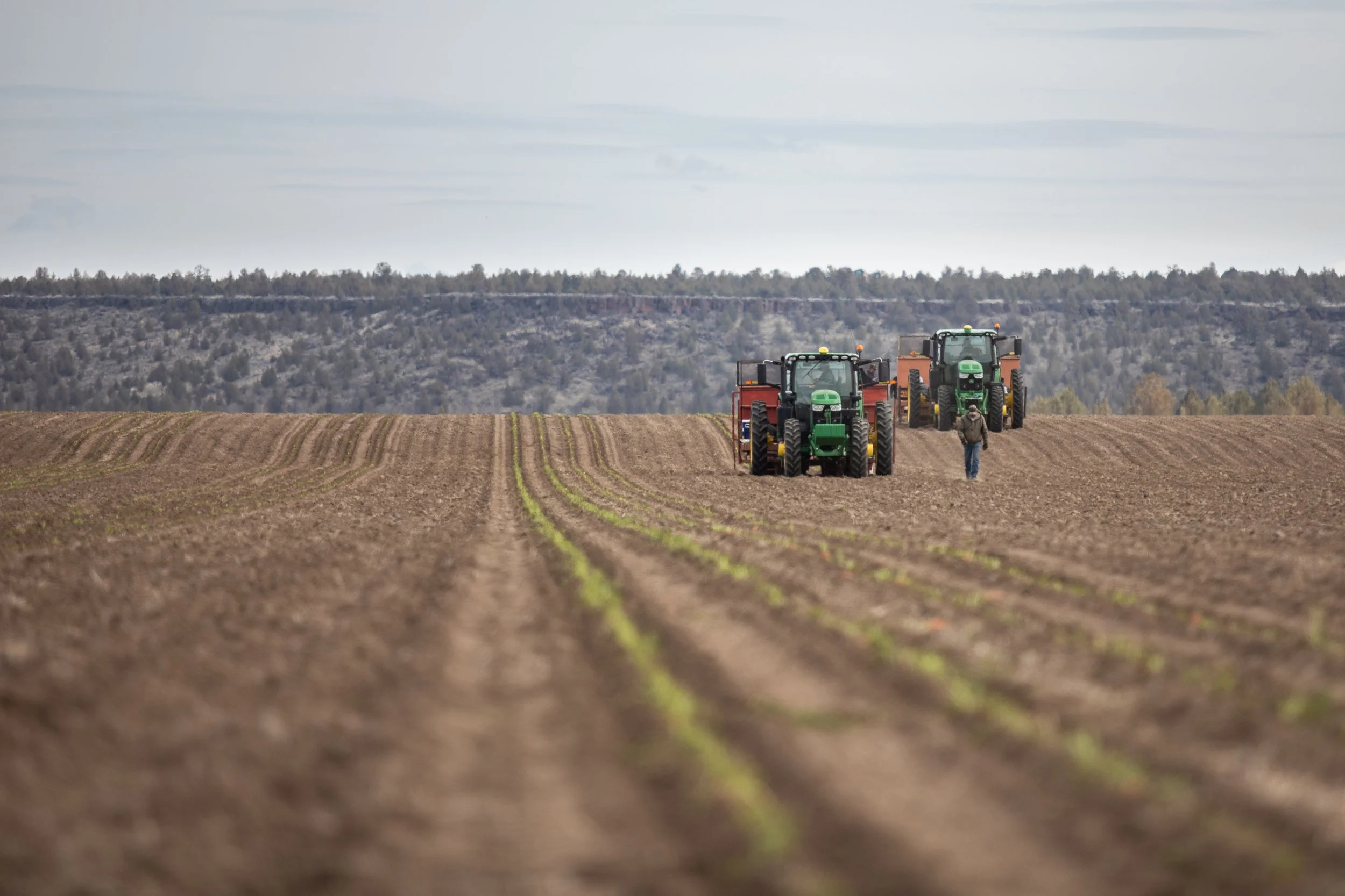 Holding Sprawl at Bay