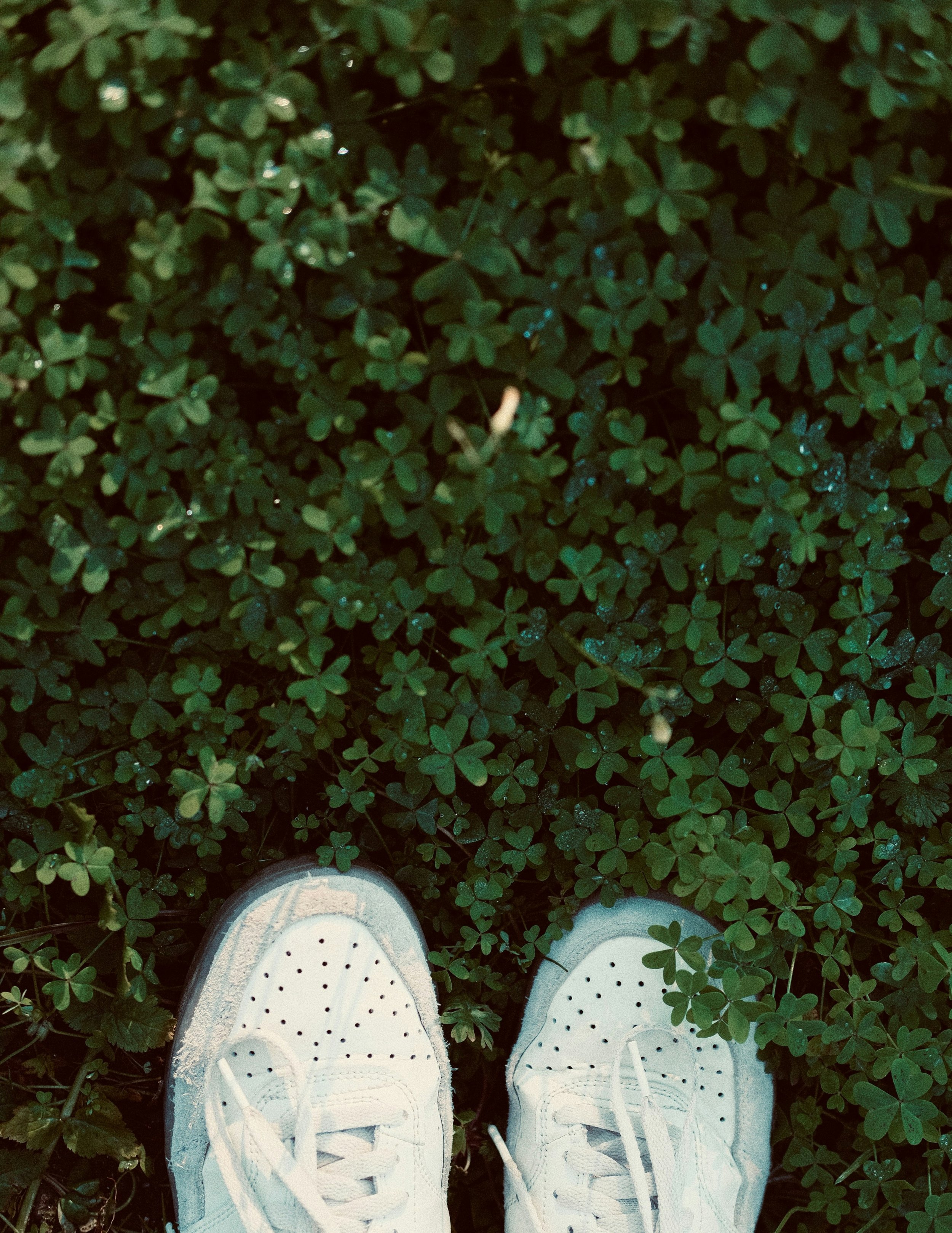 The Two-Step Process of Creating Soul-Satisfying Wealth